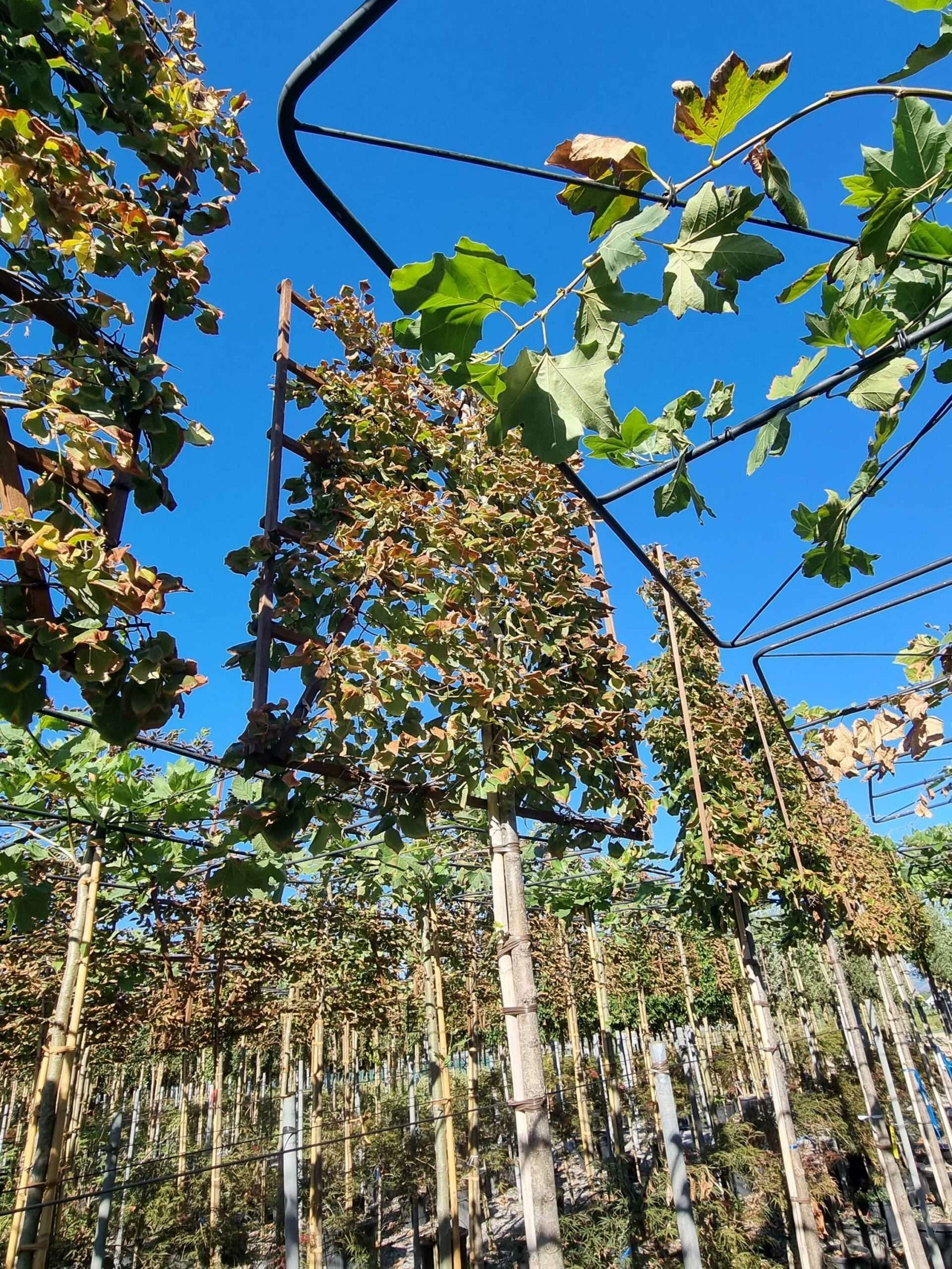 1693841457 scaled 4535dc73