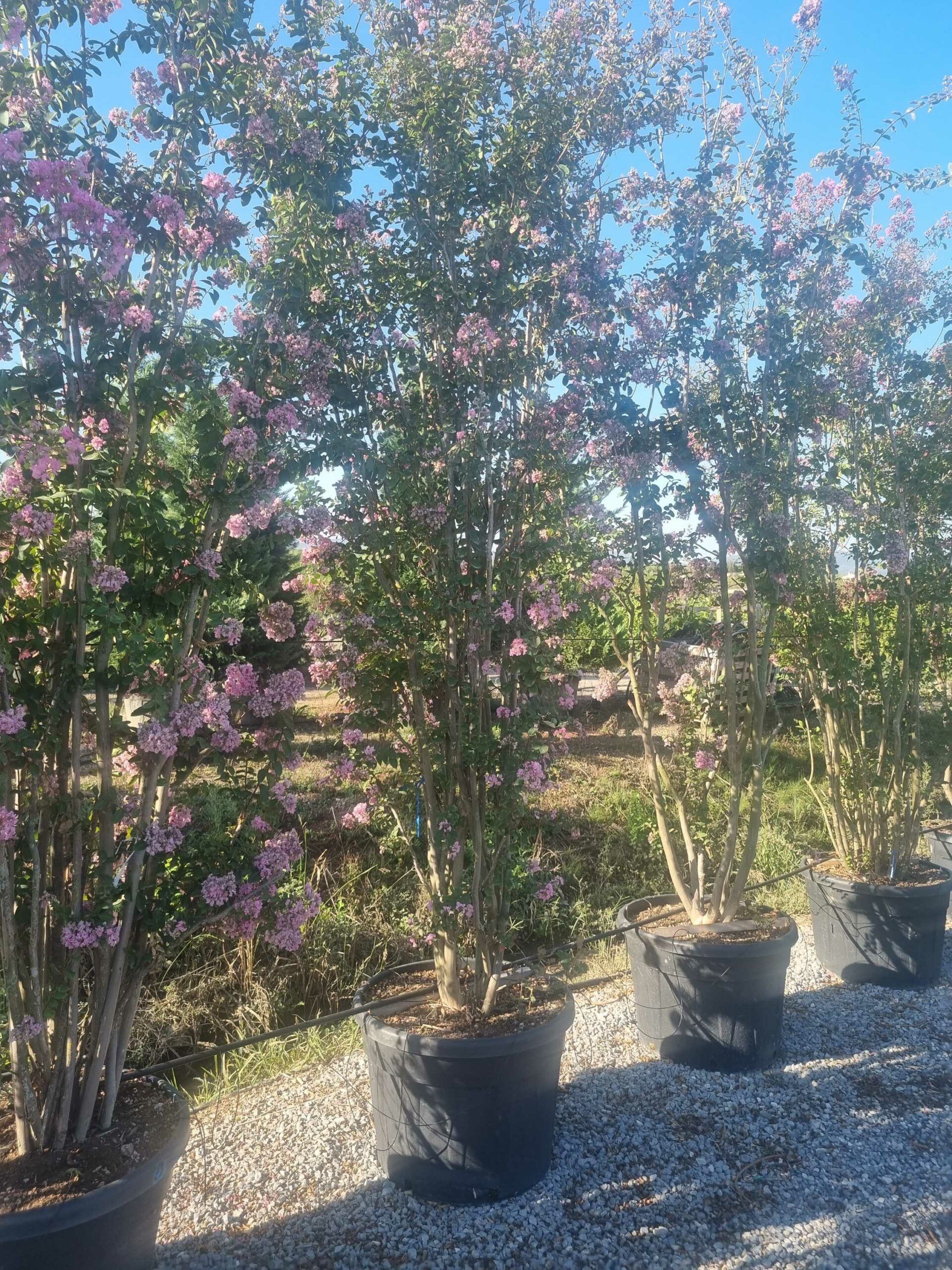 1695800418 scaled 45e737d0