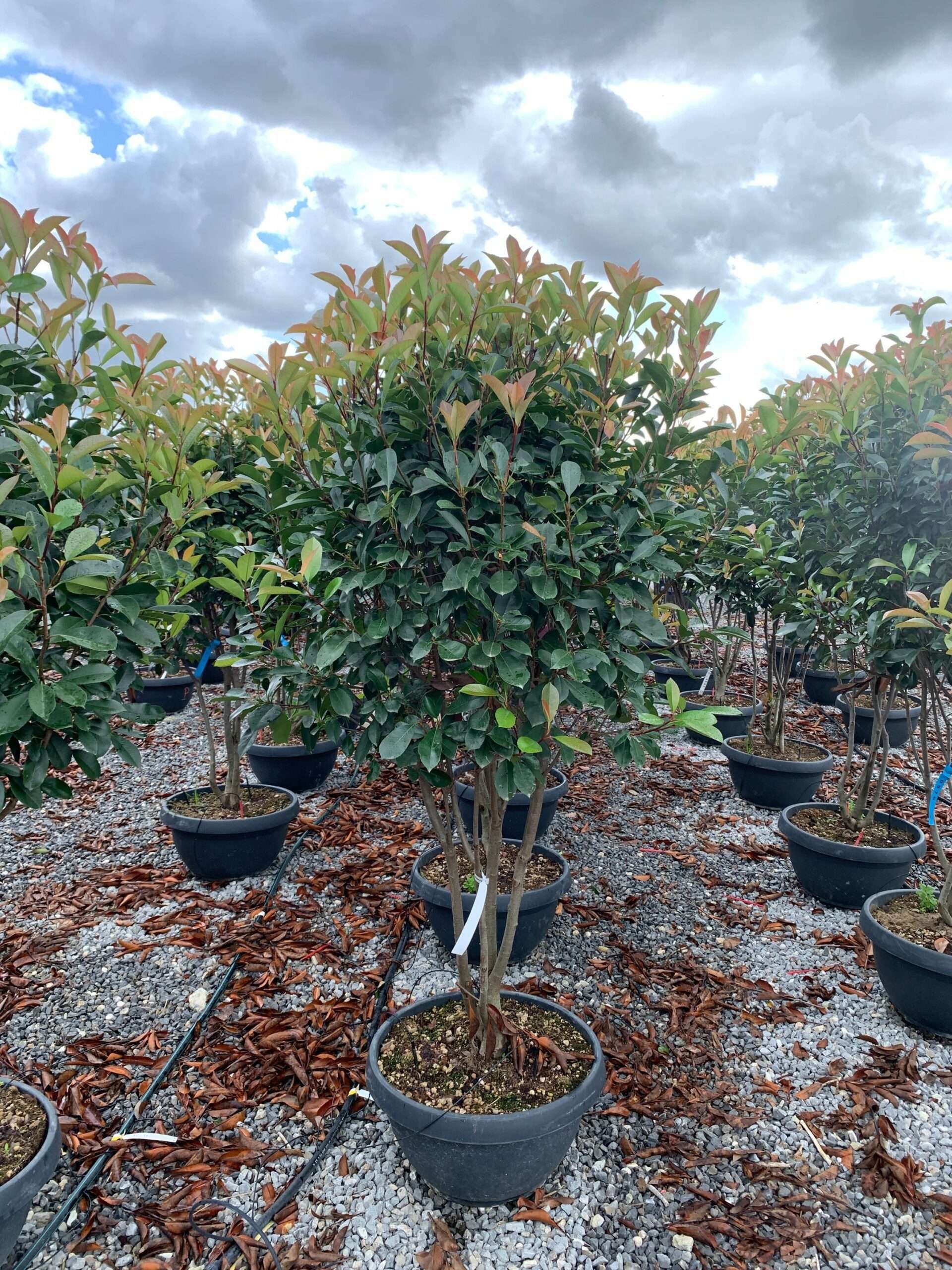 1633440285 scaled 468db965