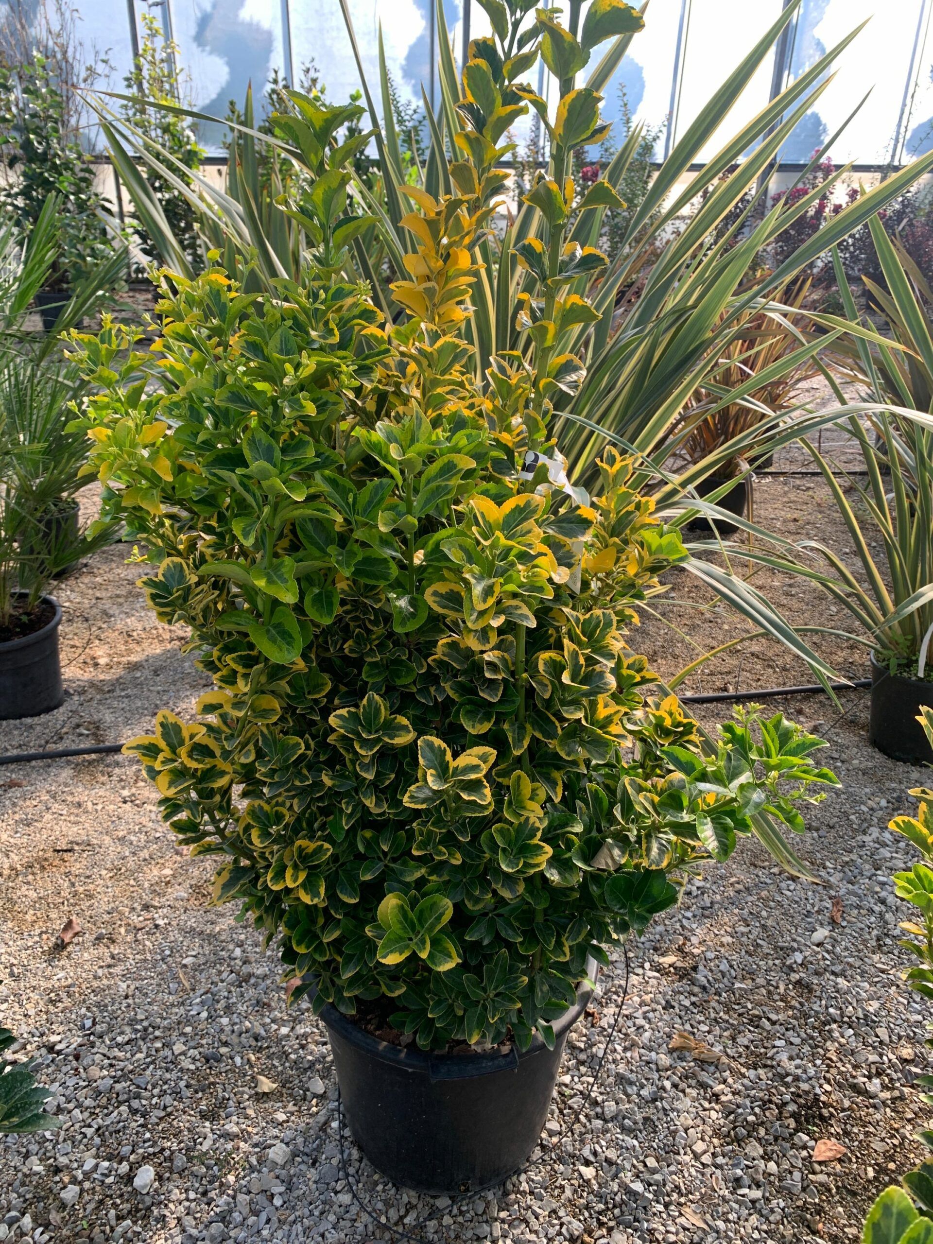 1634633164 scaled 46665406