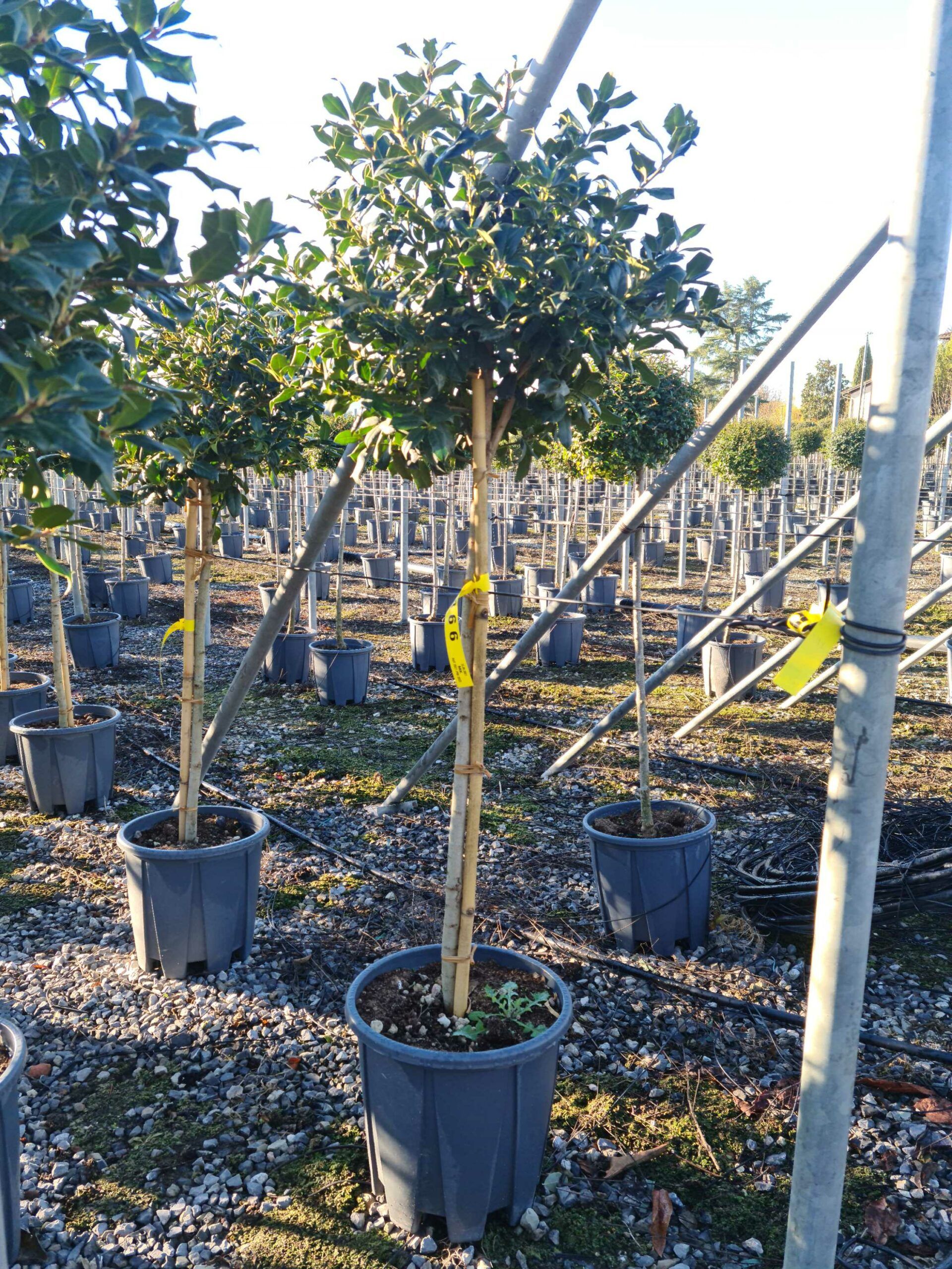 1639644957 scaled 46409b0c