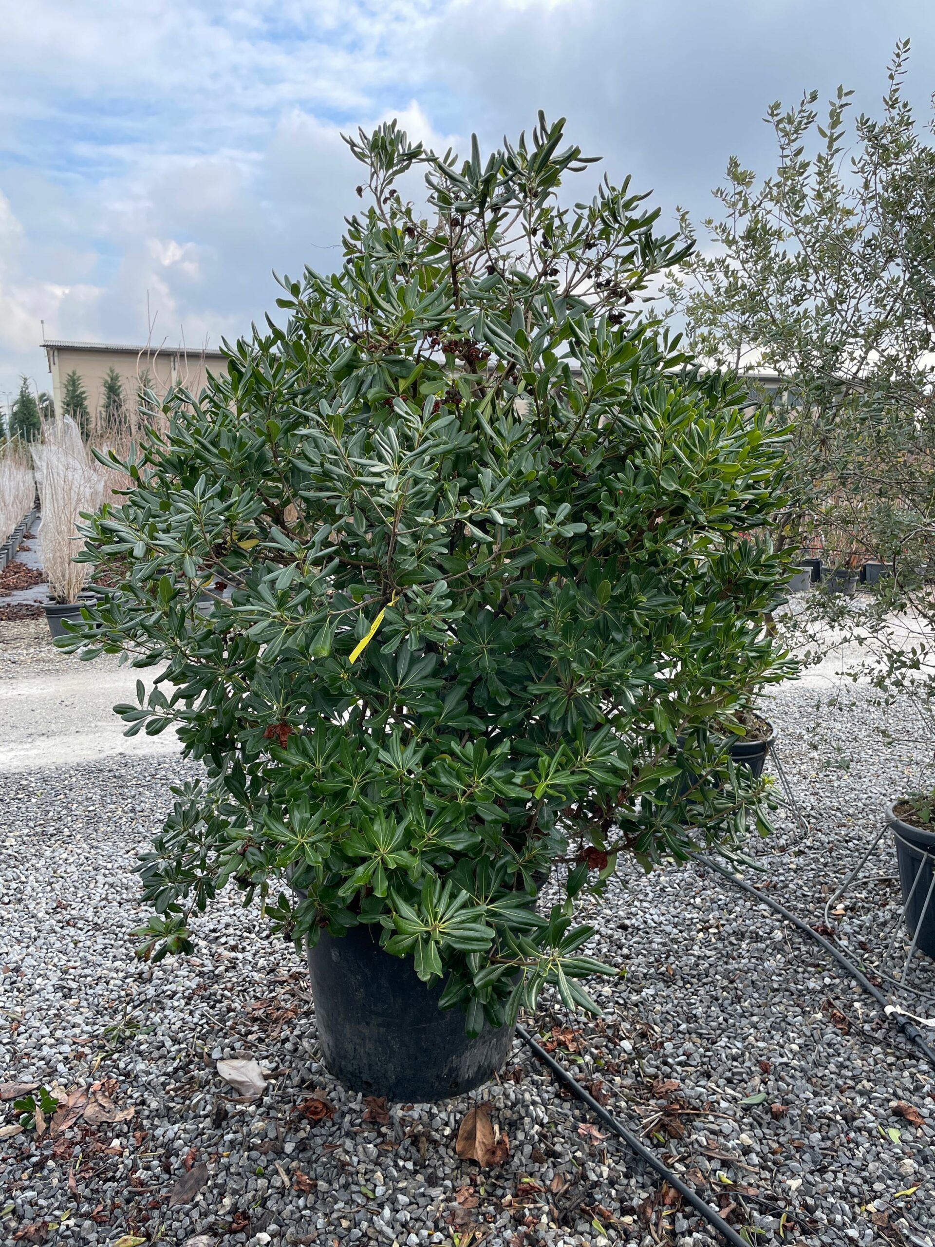 1642677714 scaled 4693957d