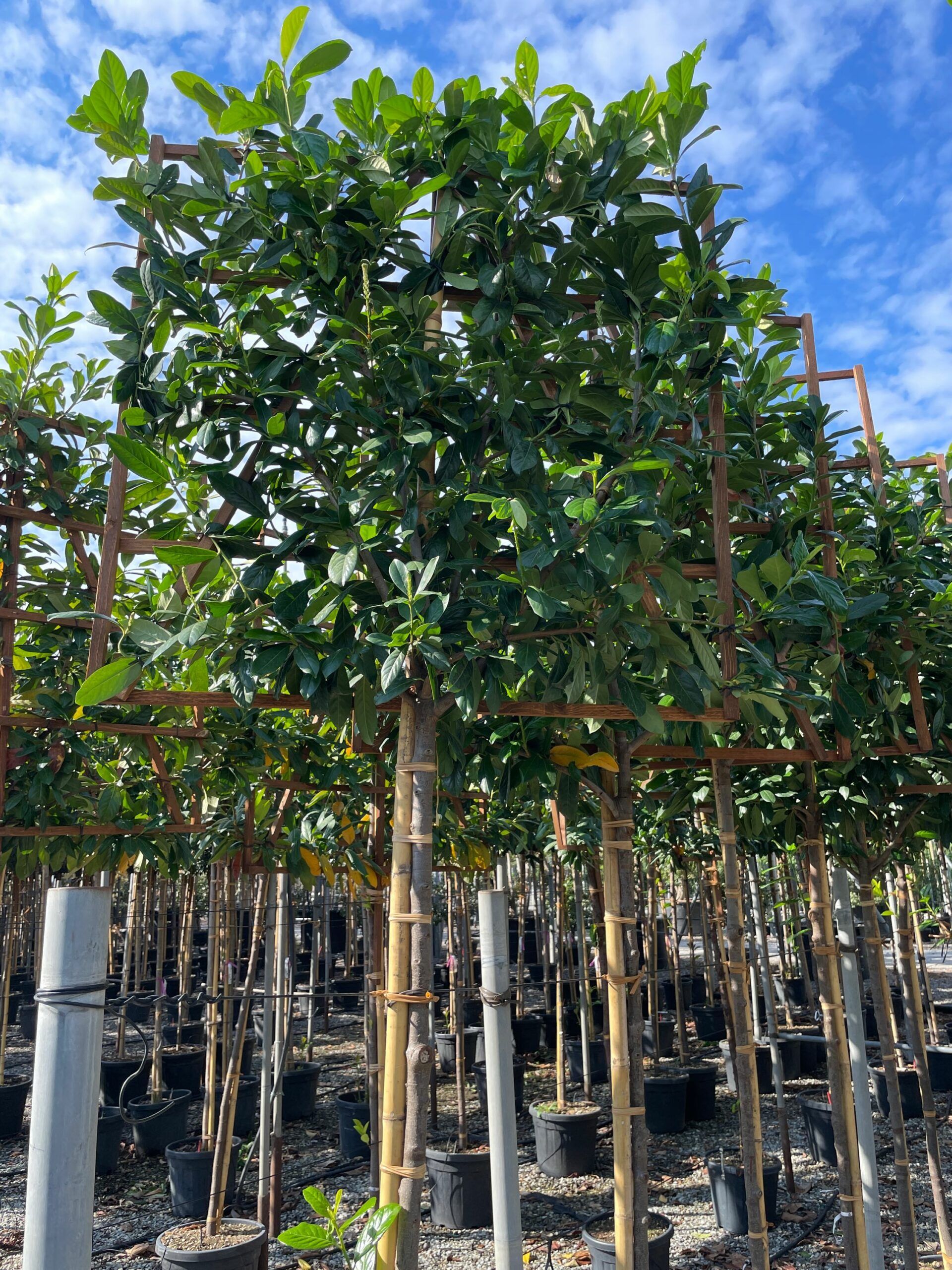 1665306003 scaled 4670e726