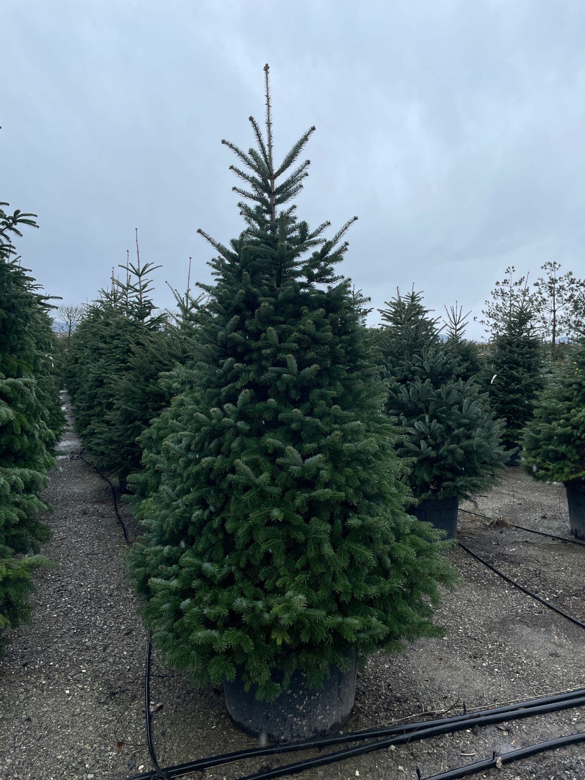 1677402114 scaled 46955721