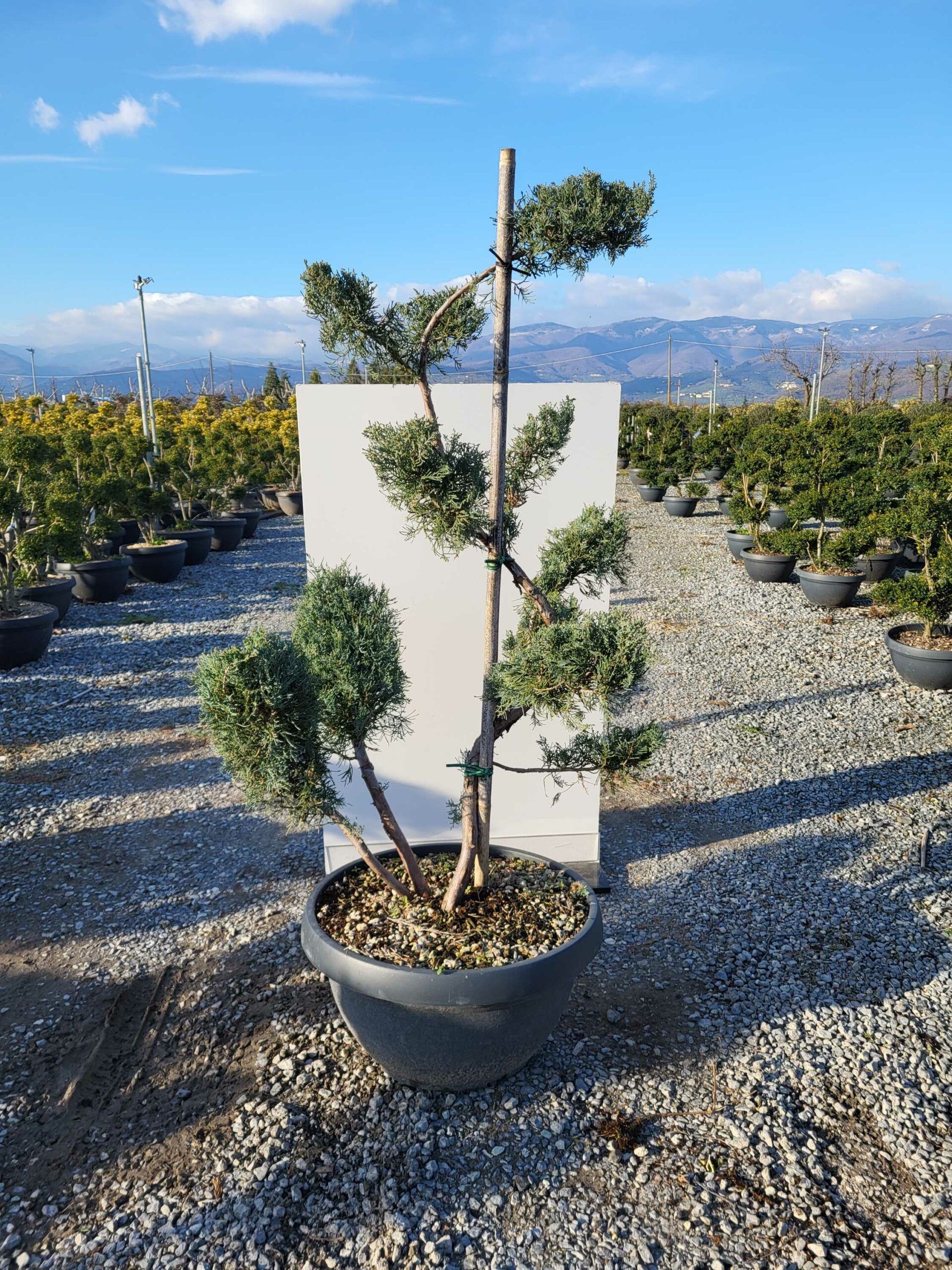 1677857370 scaled 465b3271