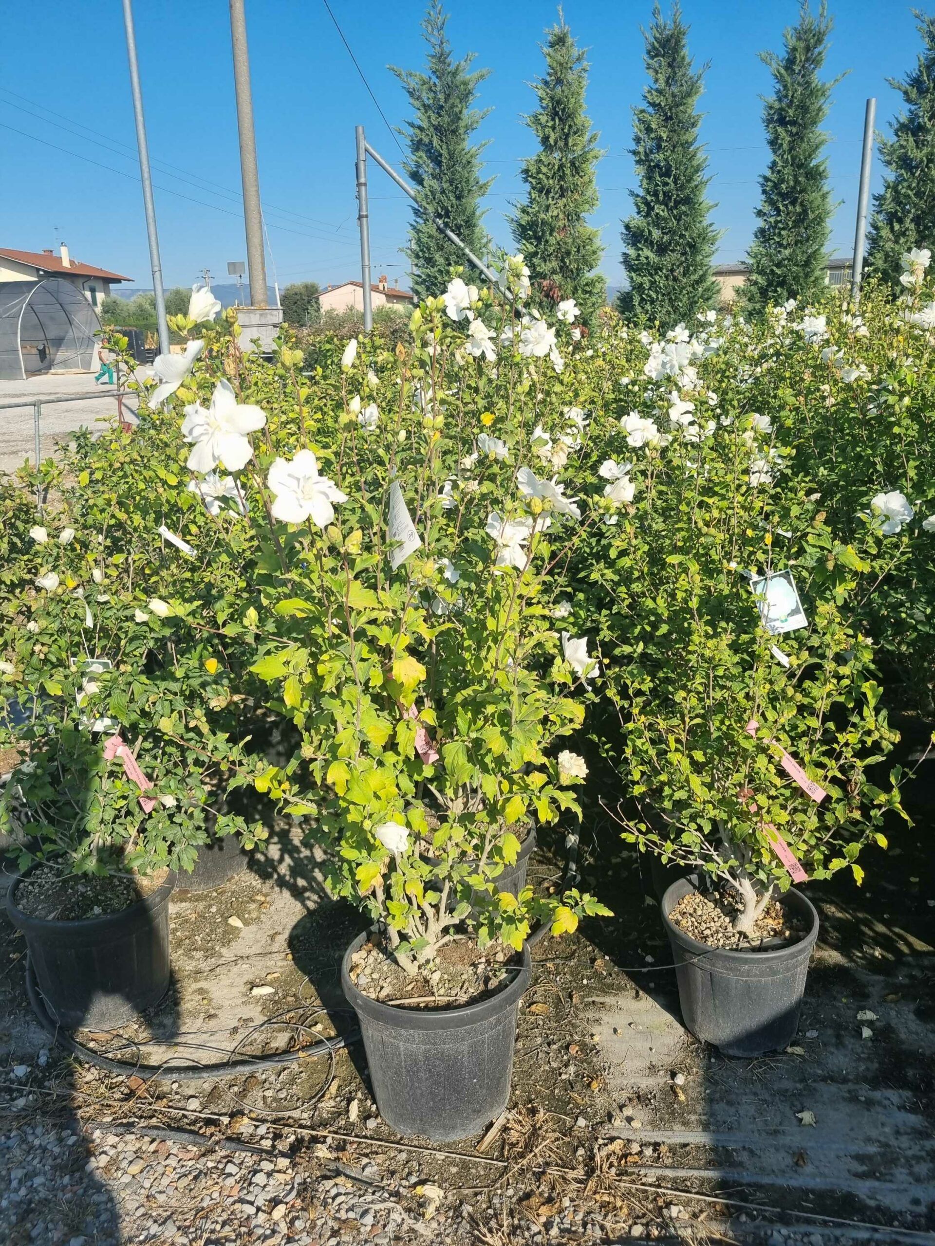 1694443804 scaled 46df38a4