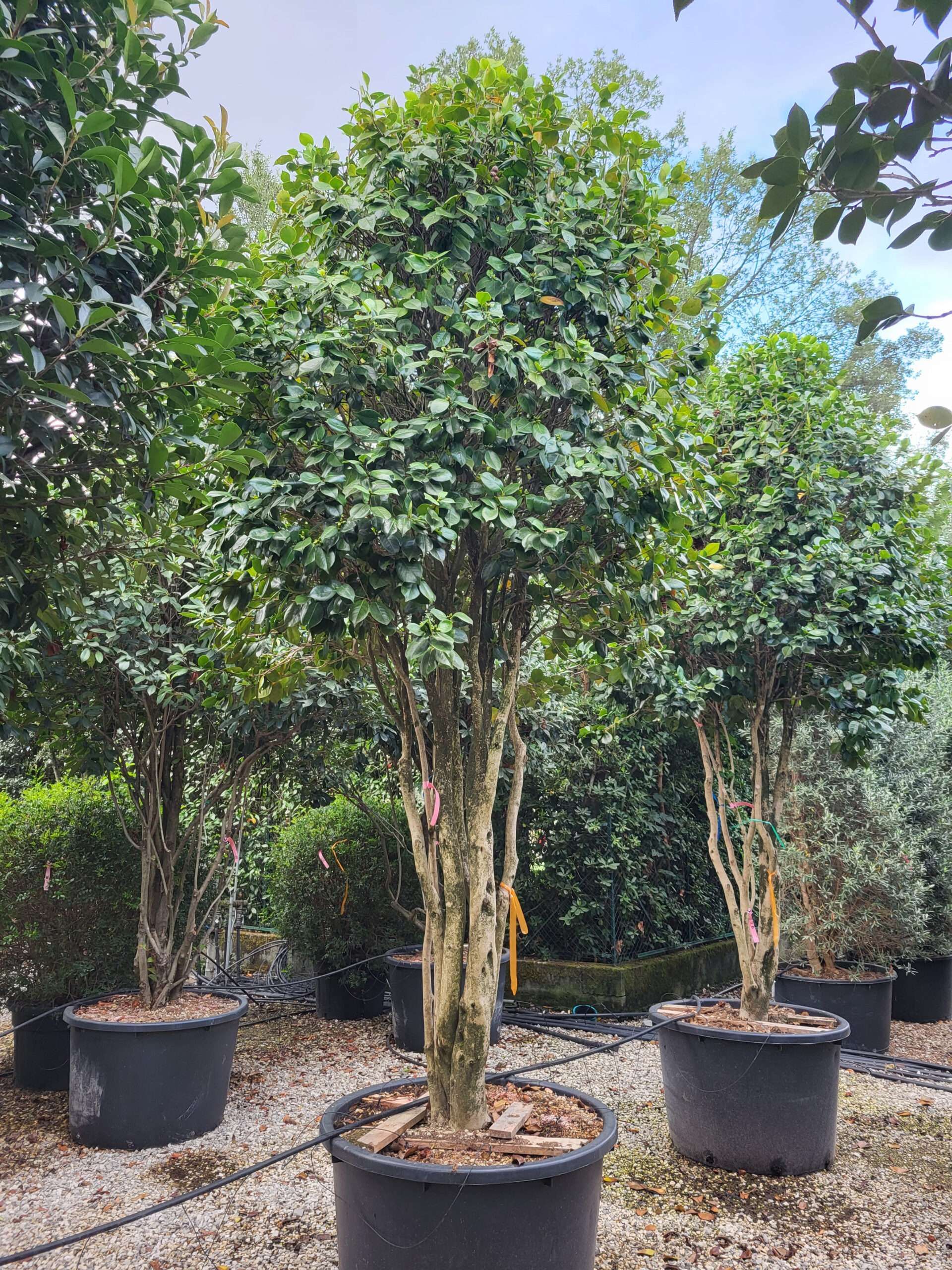 1694788427 scaled 46709be9