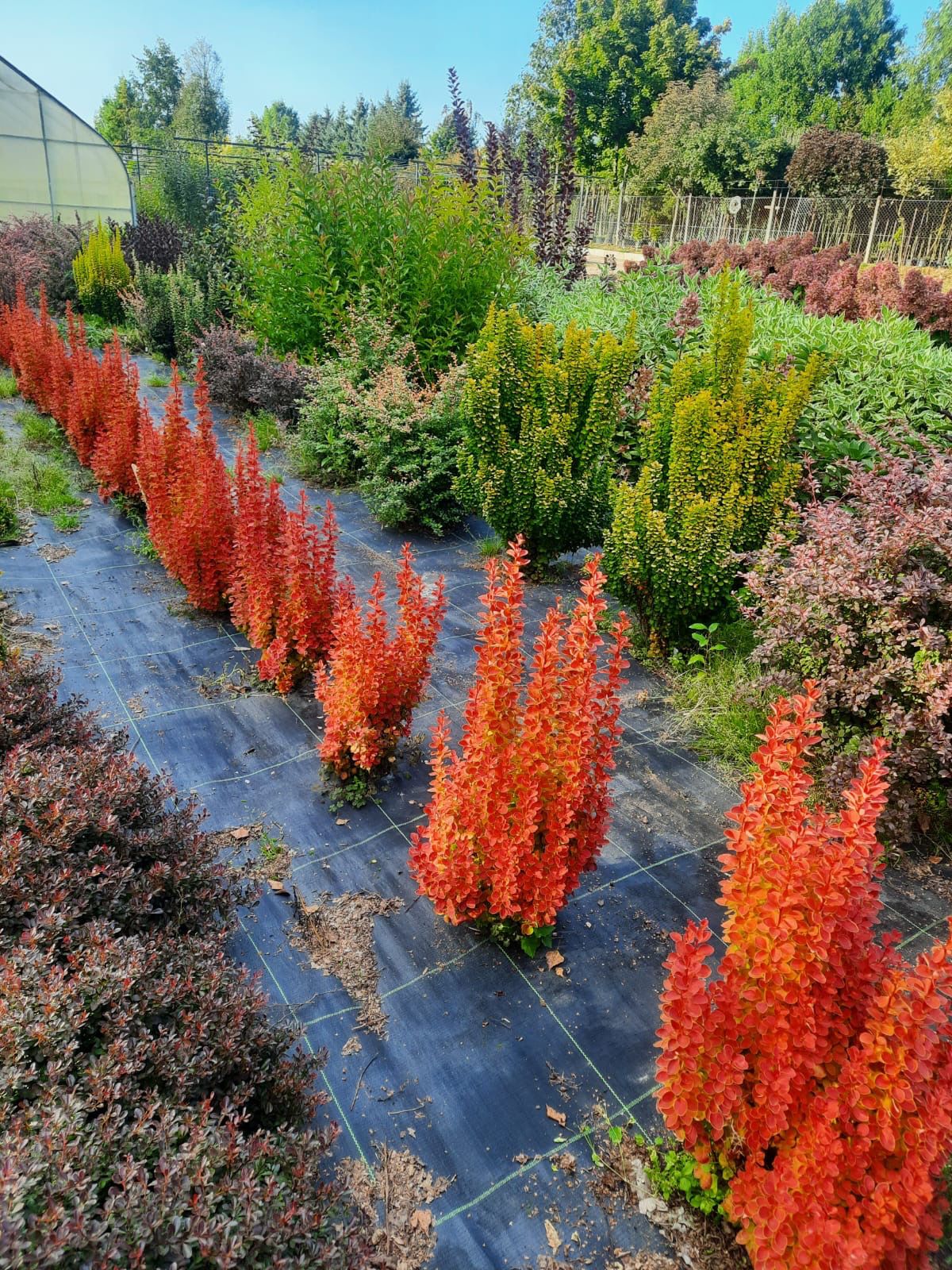 0002364 51191630 4b57 4321 8aa3 c3b3861e4759 4733e75d