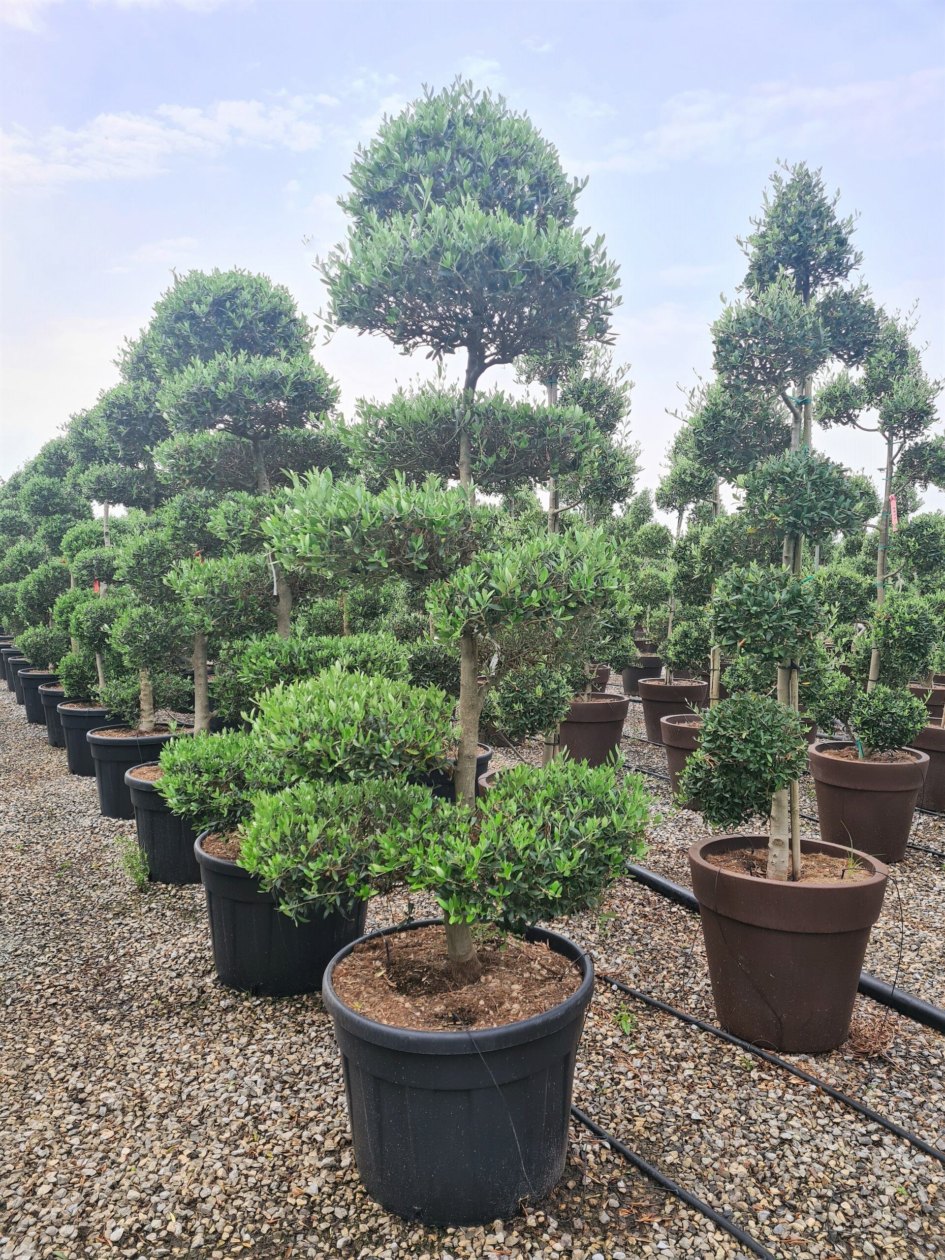 1631795844 51 scaled 474b55de