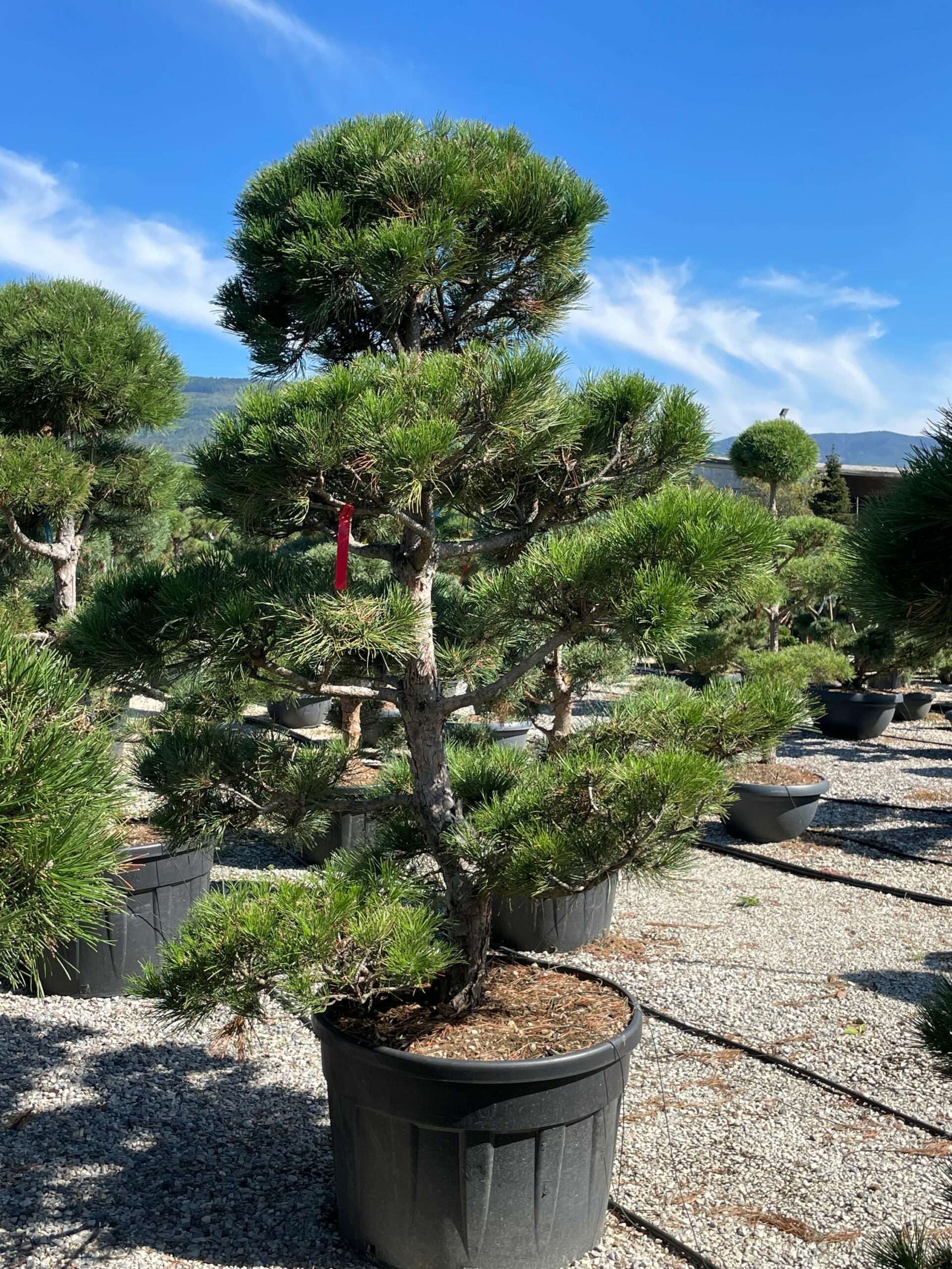 1632304390 scaled 475b863c