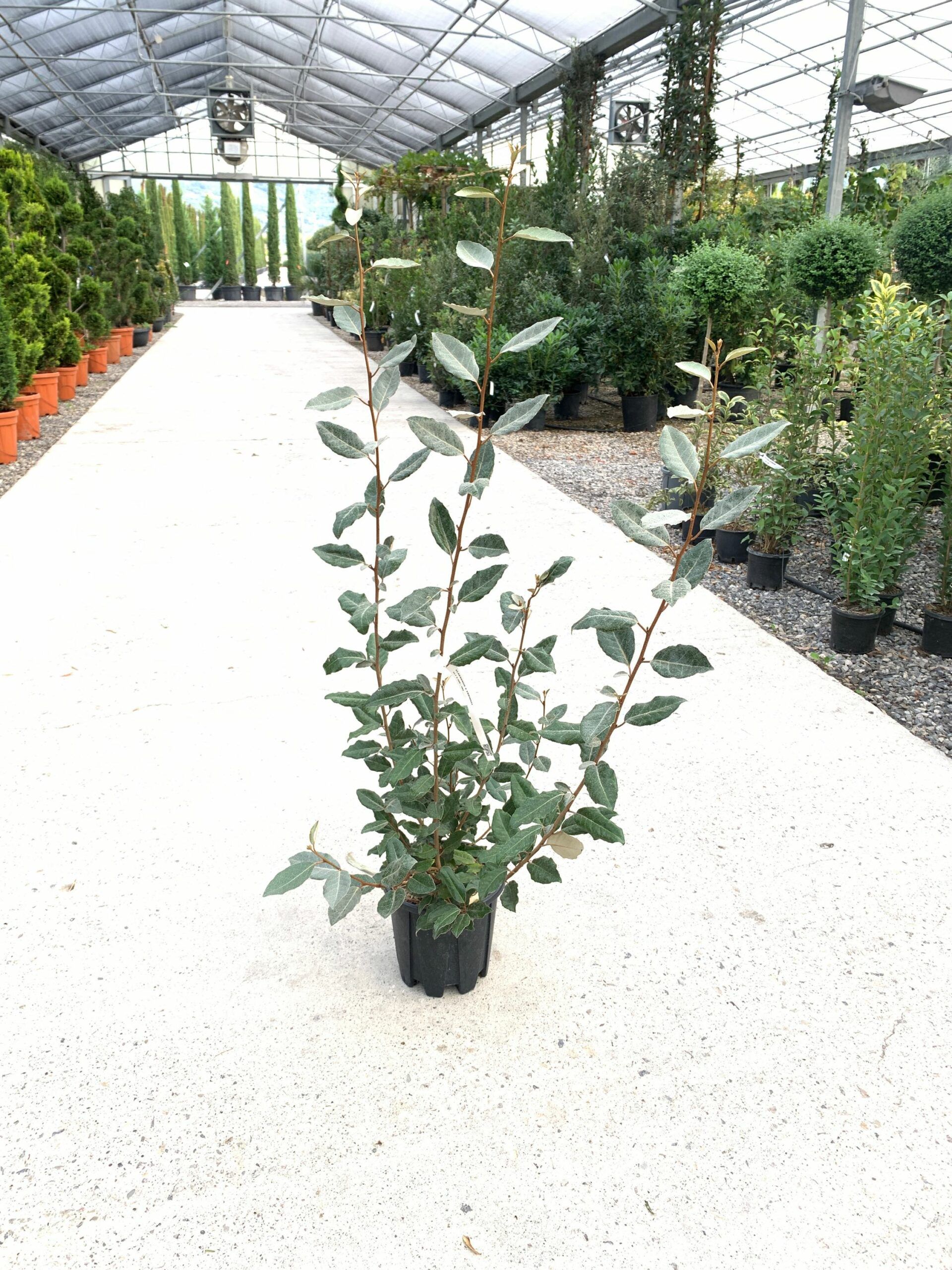 1635148960 scaled 47e4804b