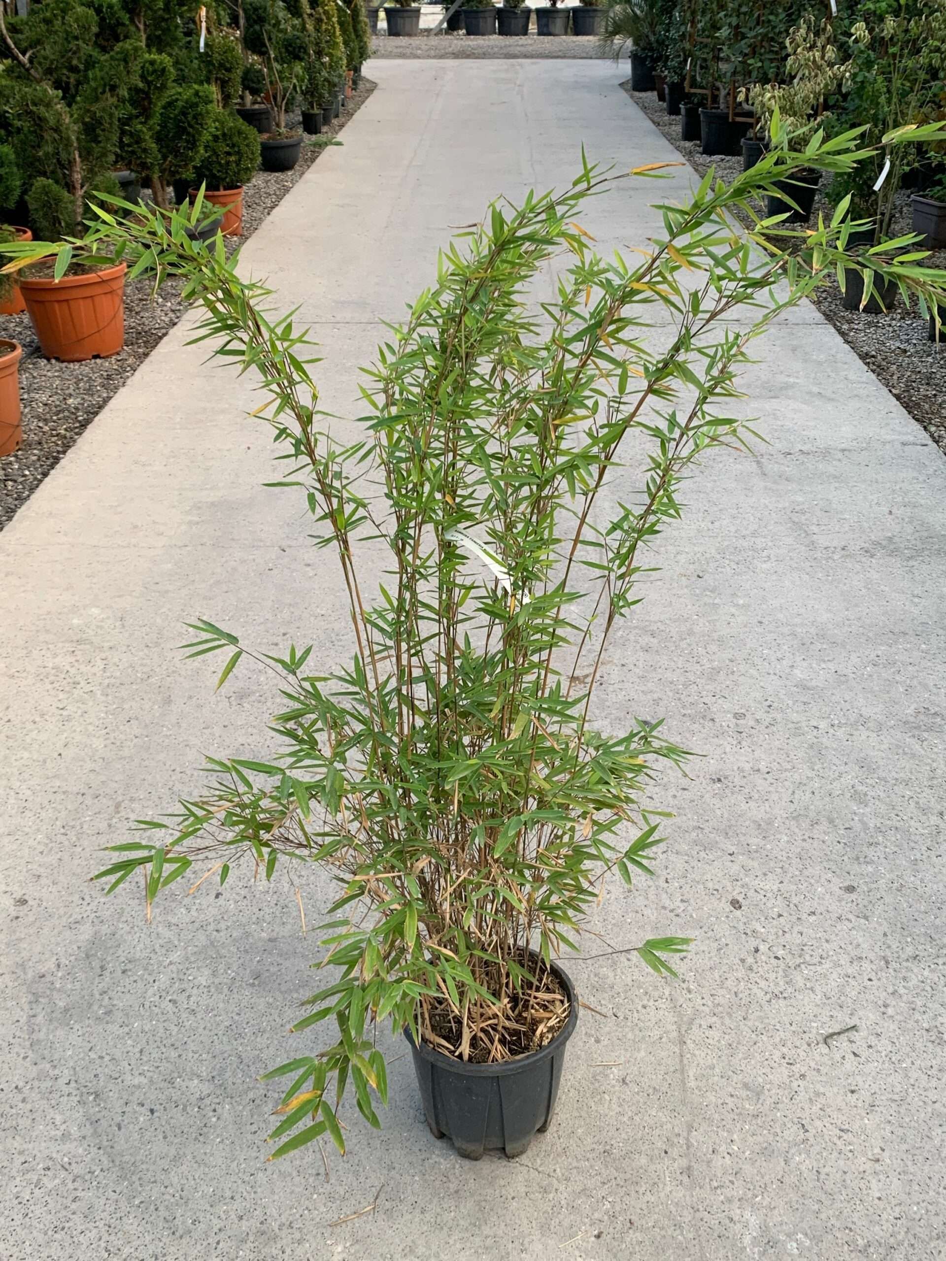 1635229914 scaled 475de20b