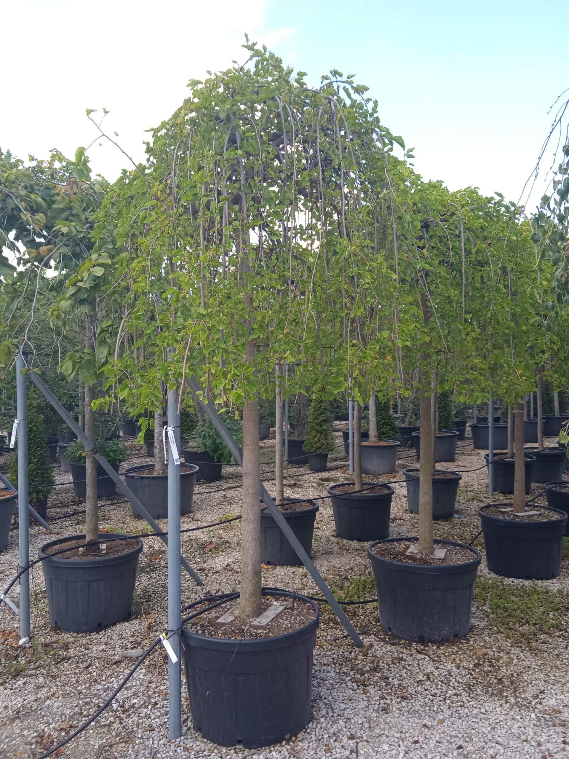 1661779288 scaled 475de49f