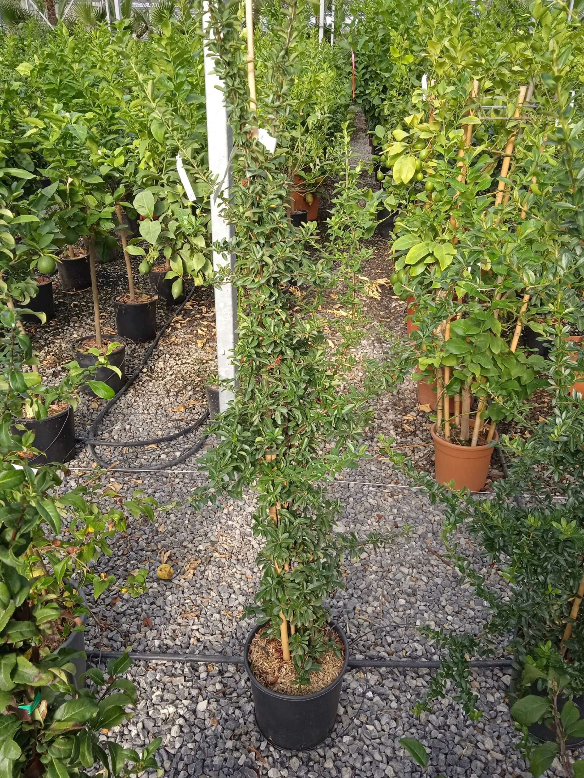 1662449063 scaled 47547287