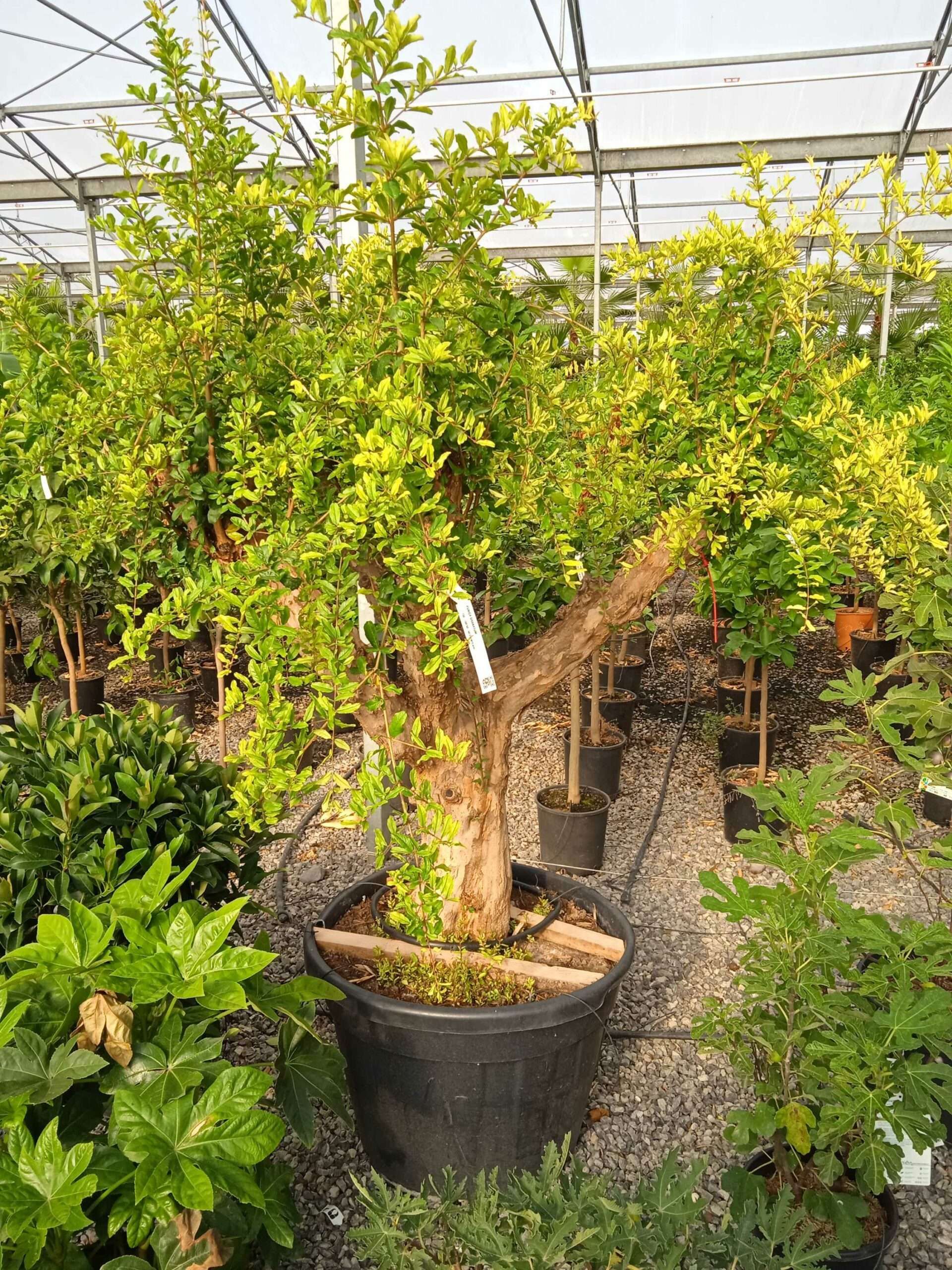 1662449203 scaled 47505c01