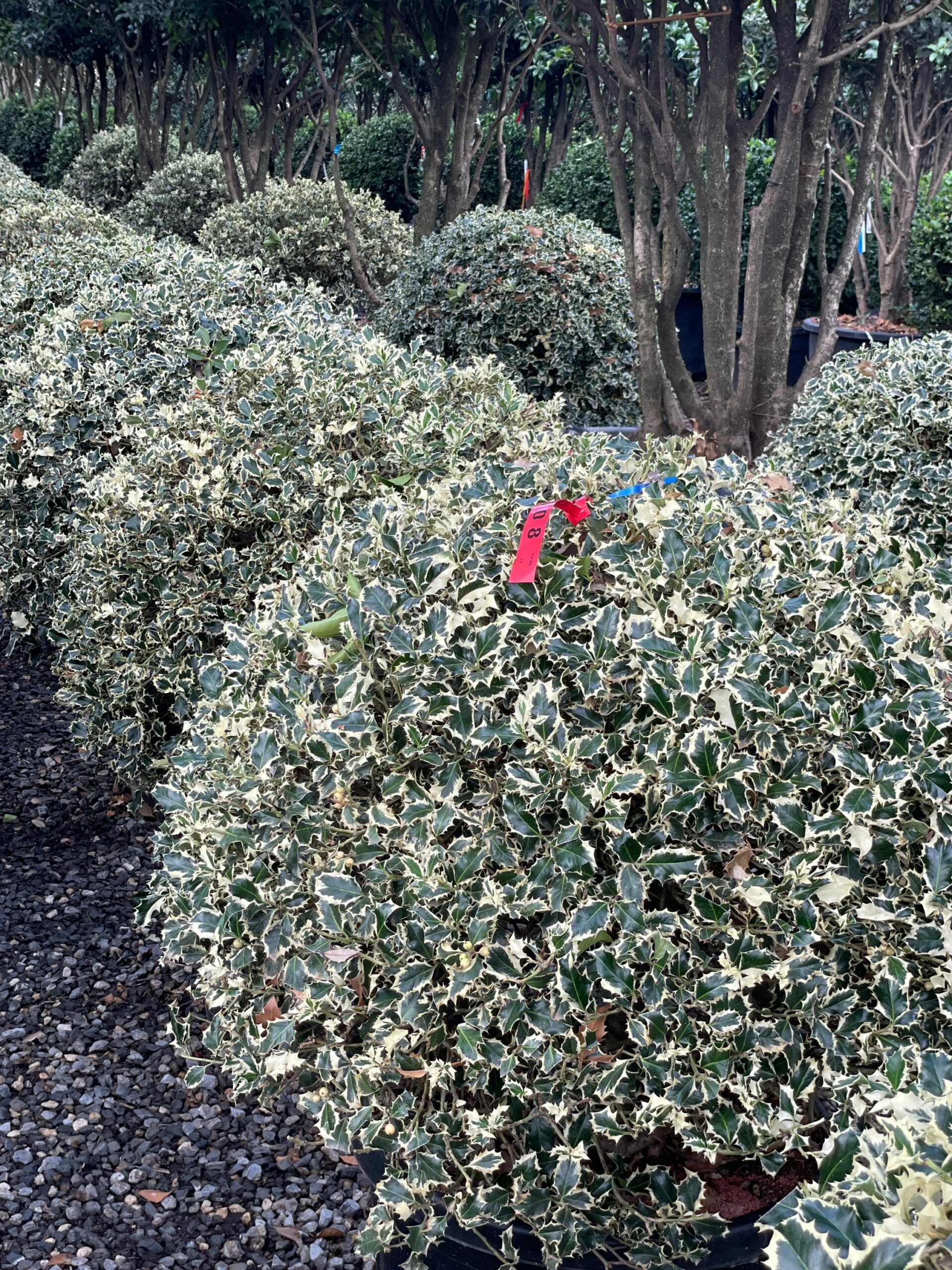 1662708963 scaled 474db496