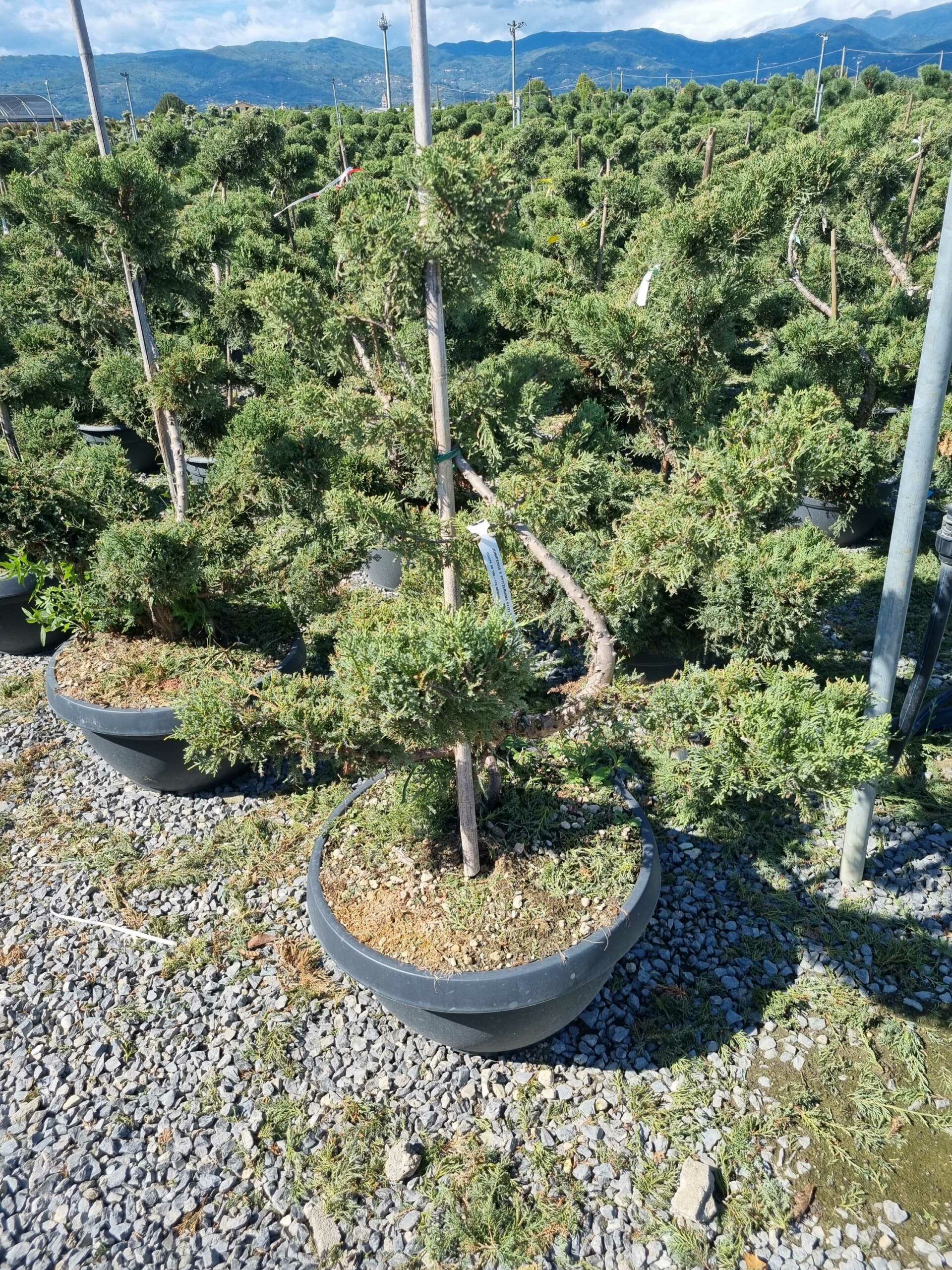 1663762887 scaled 470ec0bb