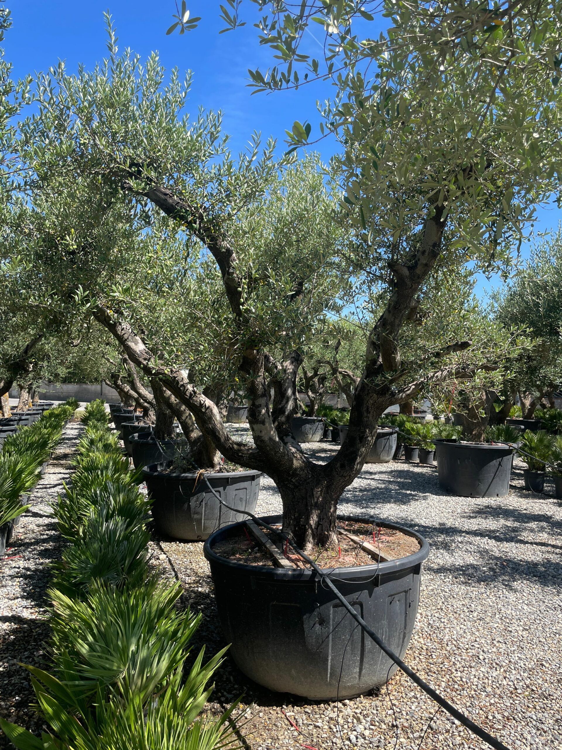 1691499616 scaled 47d8de71