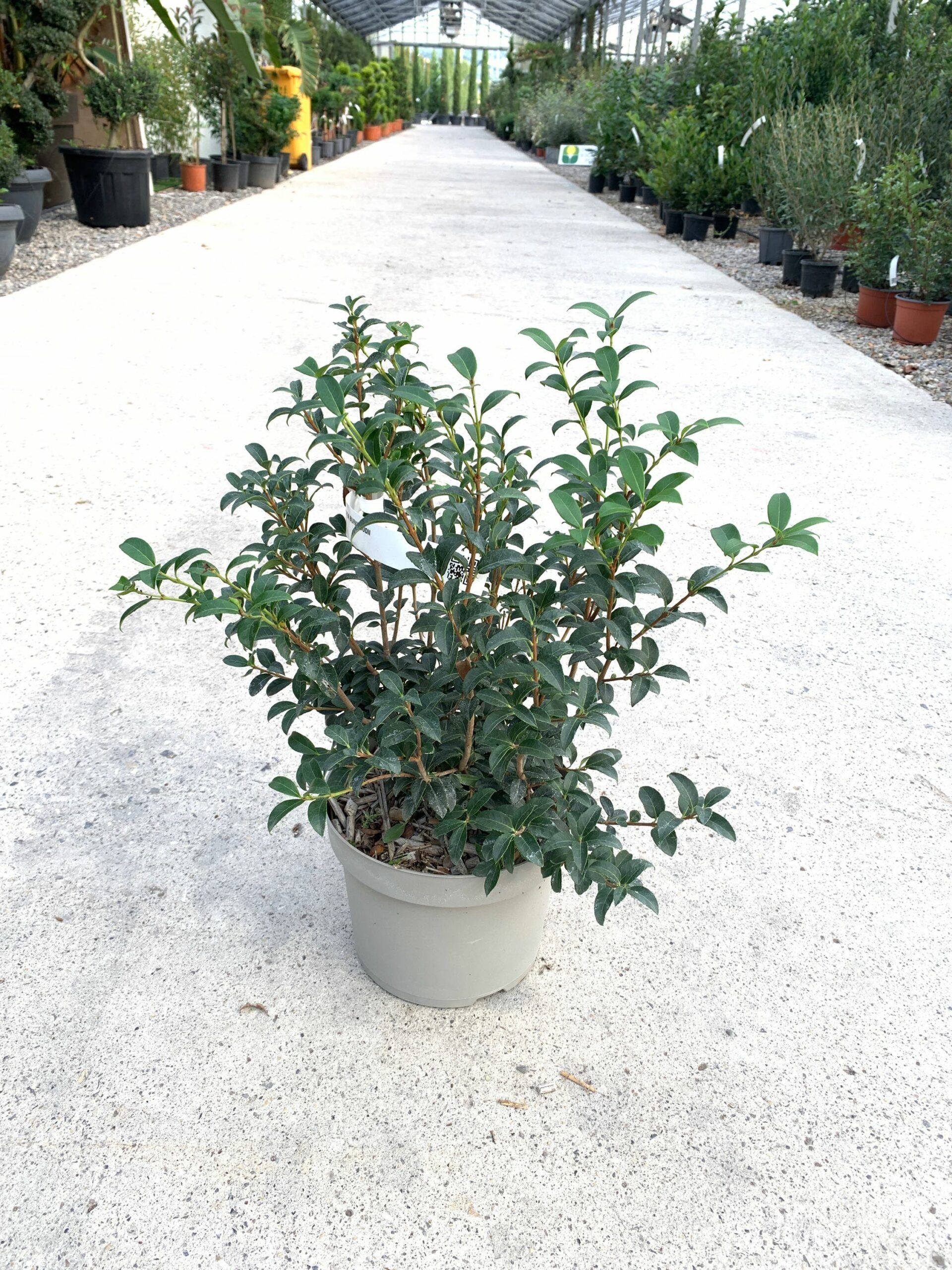 1635148548 scaled 48f0e782