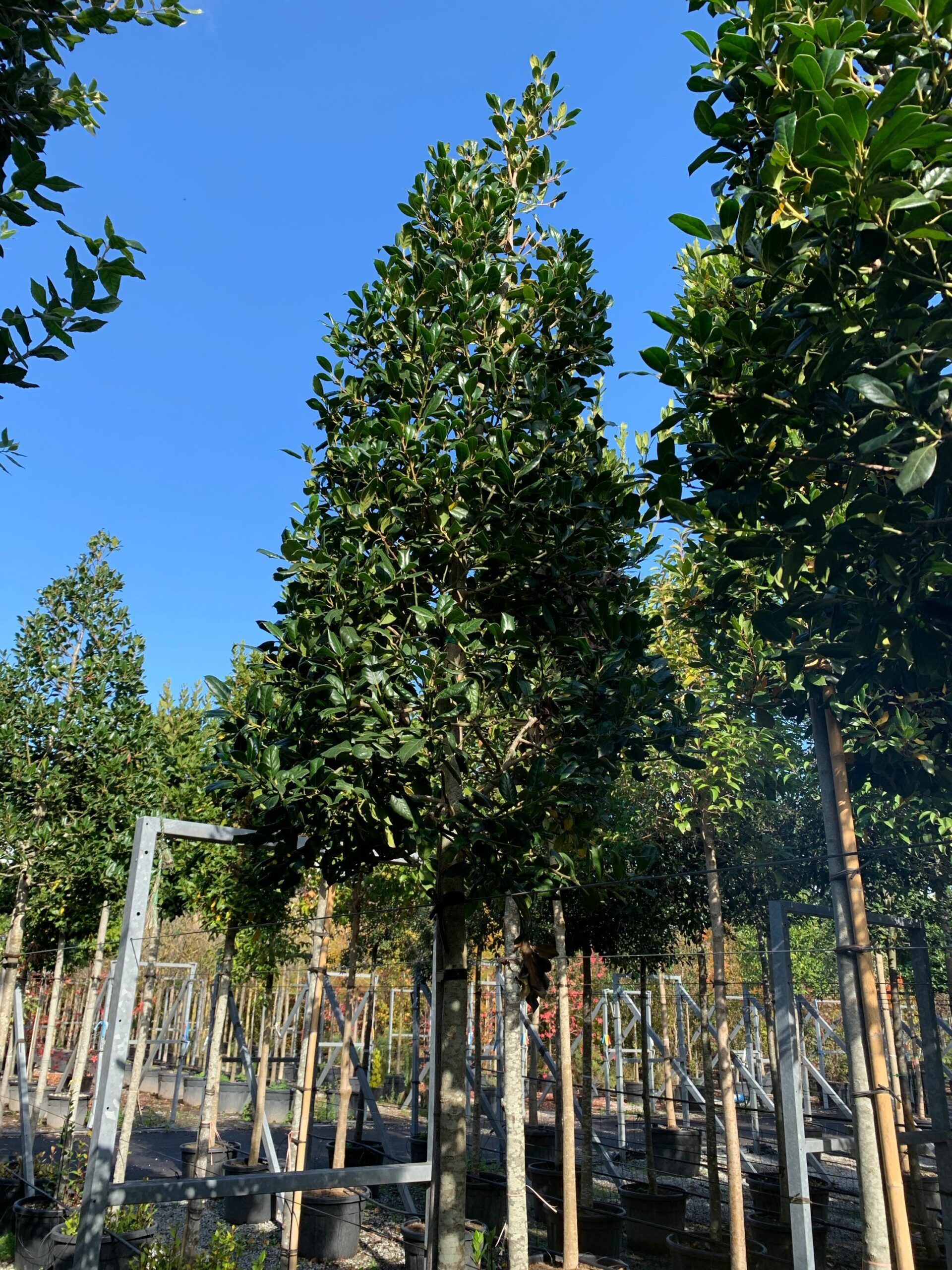 1636372130 scaled 48097052