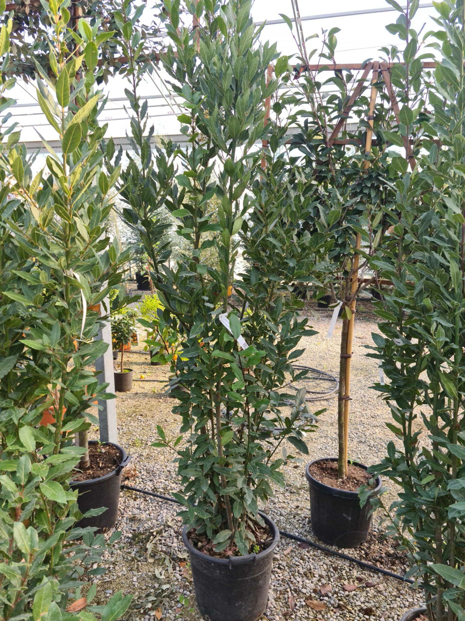 1639478741 scaled 48646c49