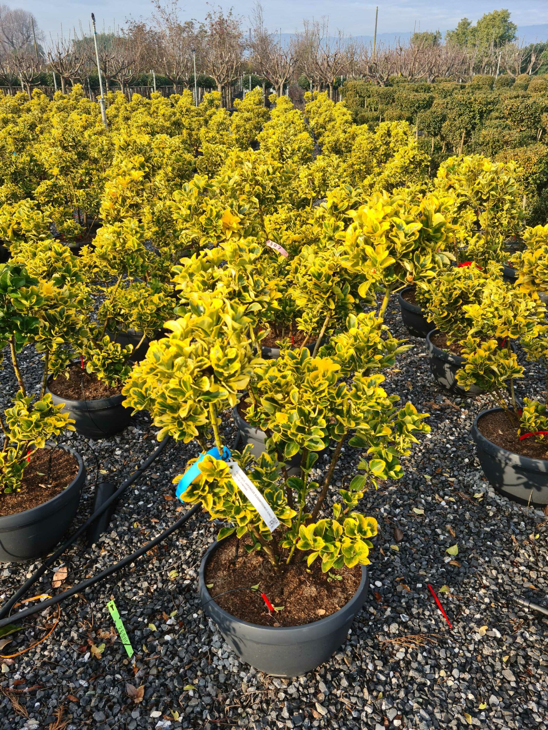 1640163284 scaled 487ad6ec