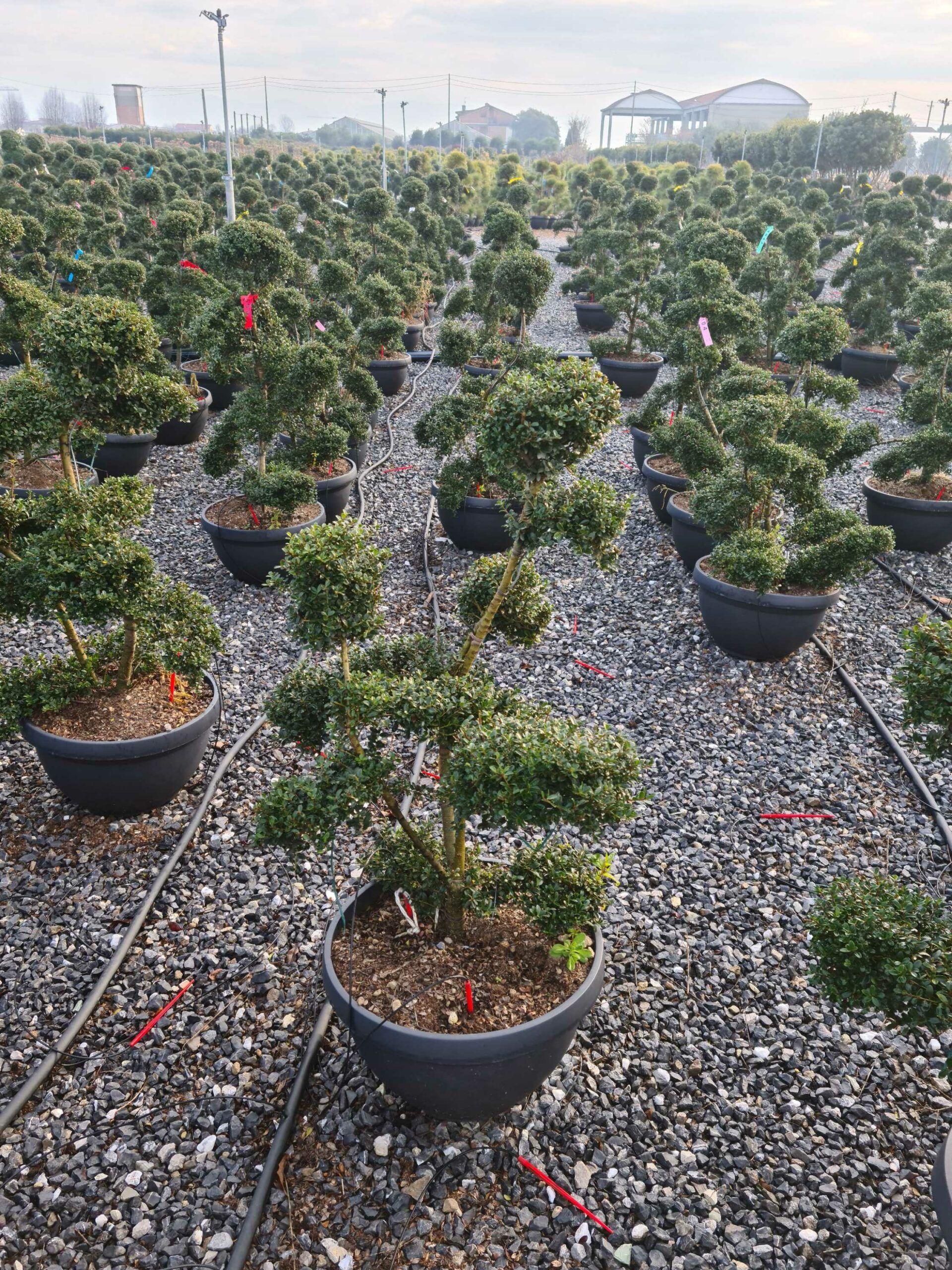 1640163403 scaled 48f911ac