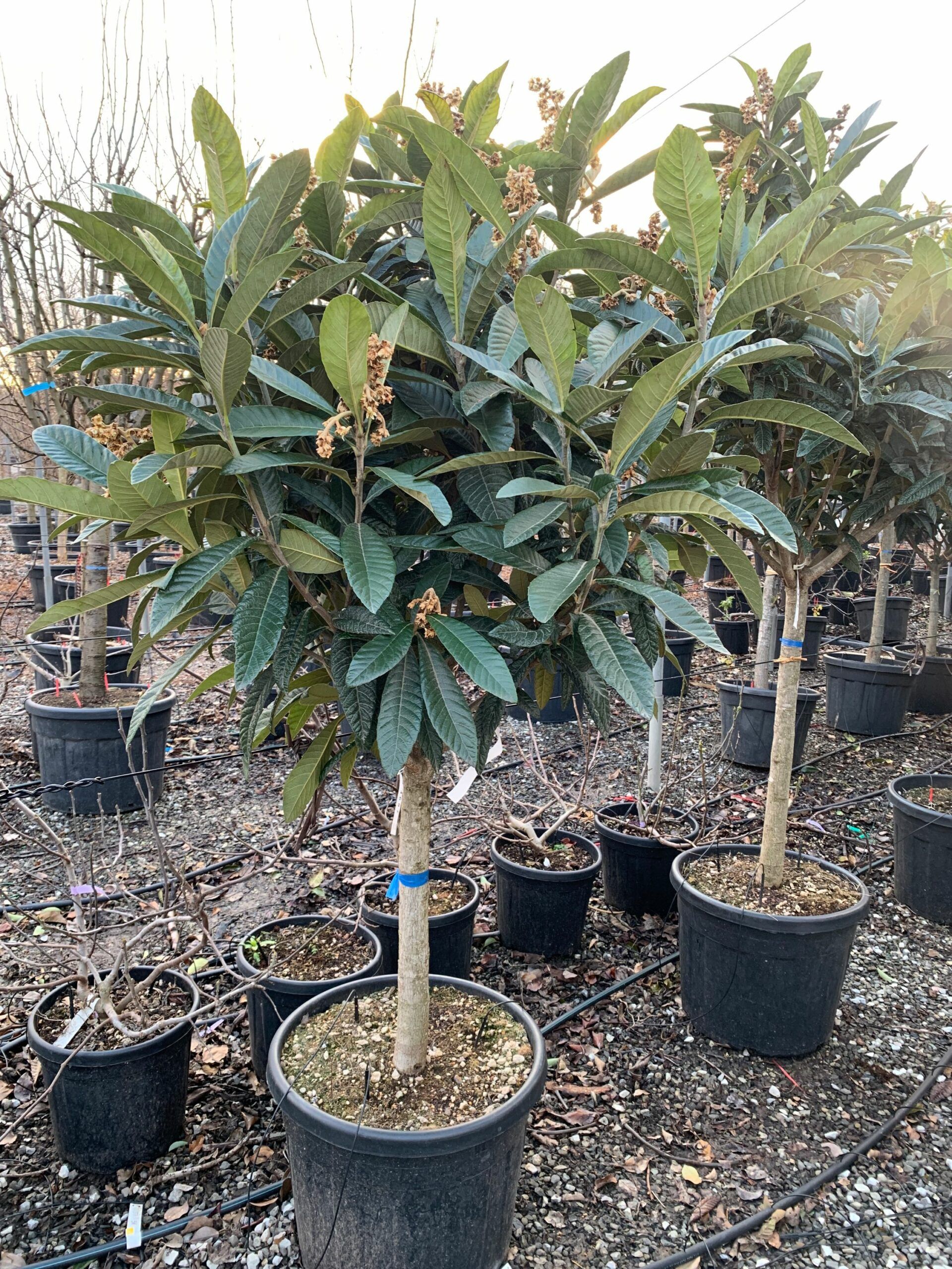 1642692048 scaled 48541bc6