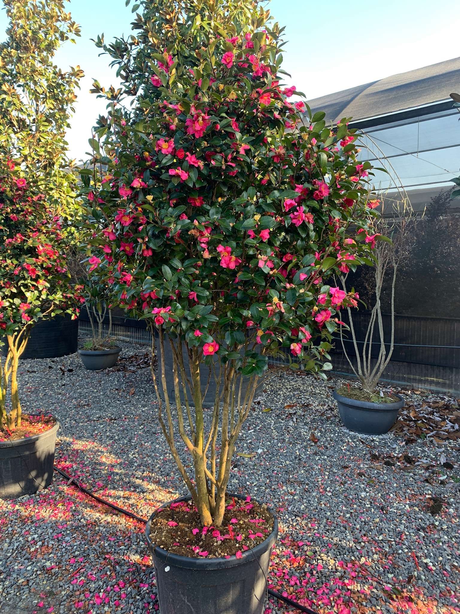 1643039945 01be2009e2393006549701647c27a12ef3cb008738 487a37e9