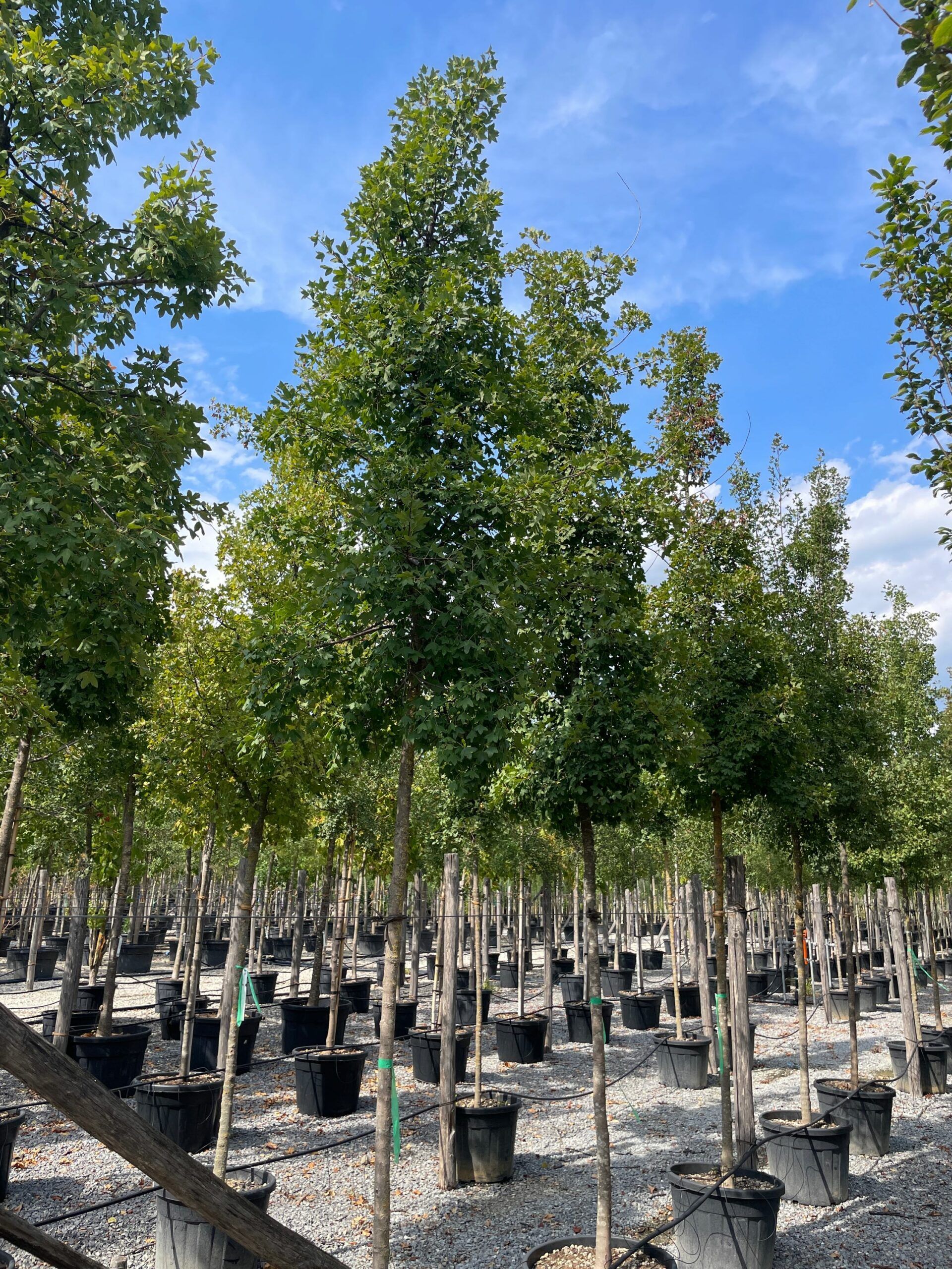 1662123790 scaled 48f9ef80