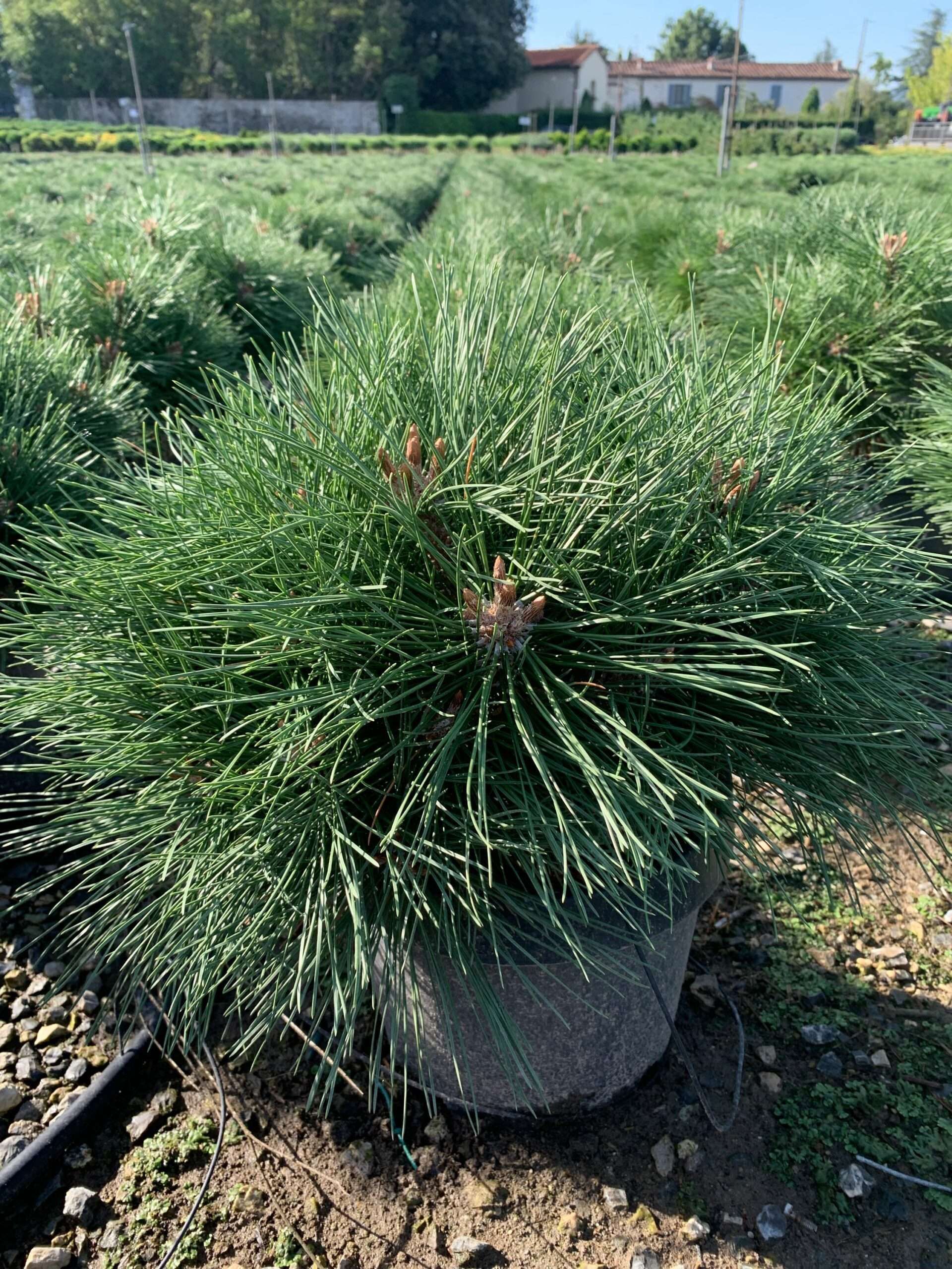 1662363373 scaled 48d3480a