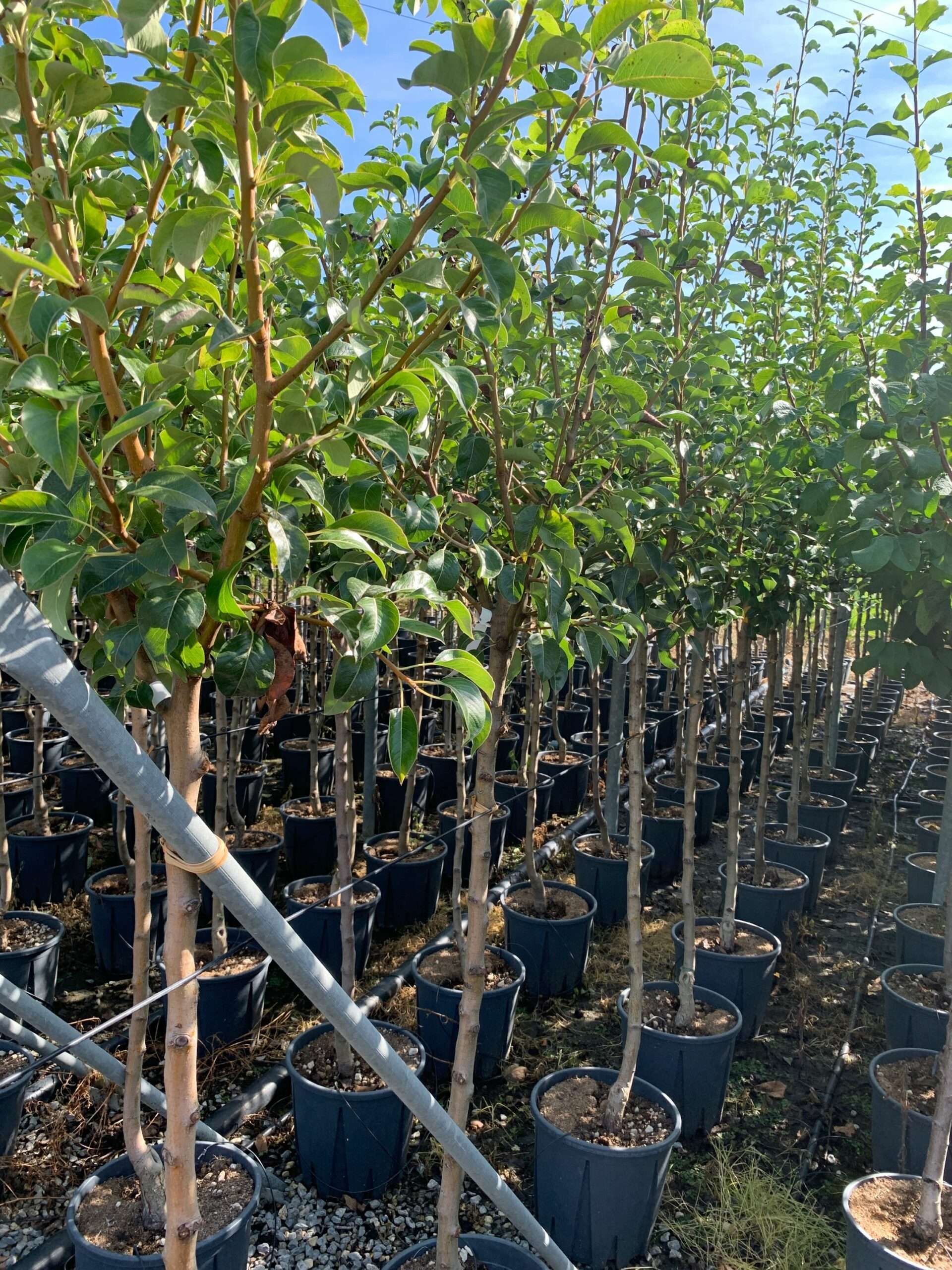 1662366070 scaled 48d45556