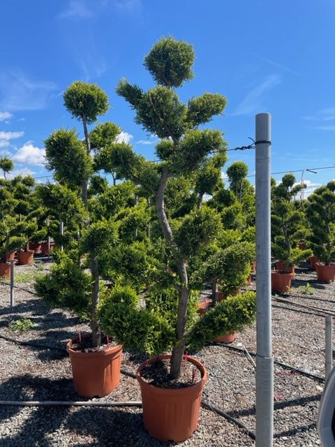 1682692683 IMG 7636 4863838f