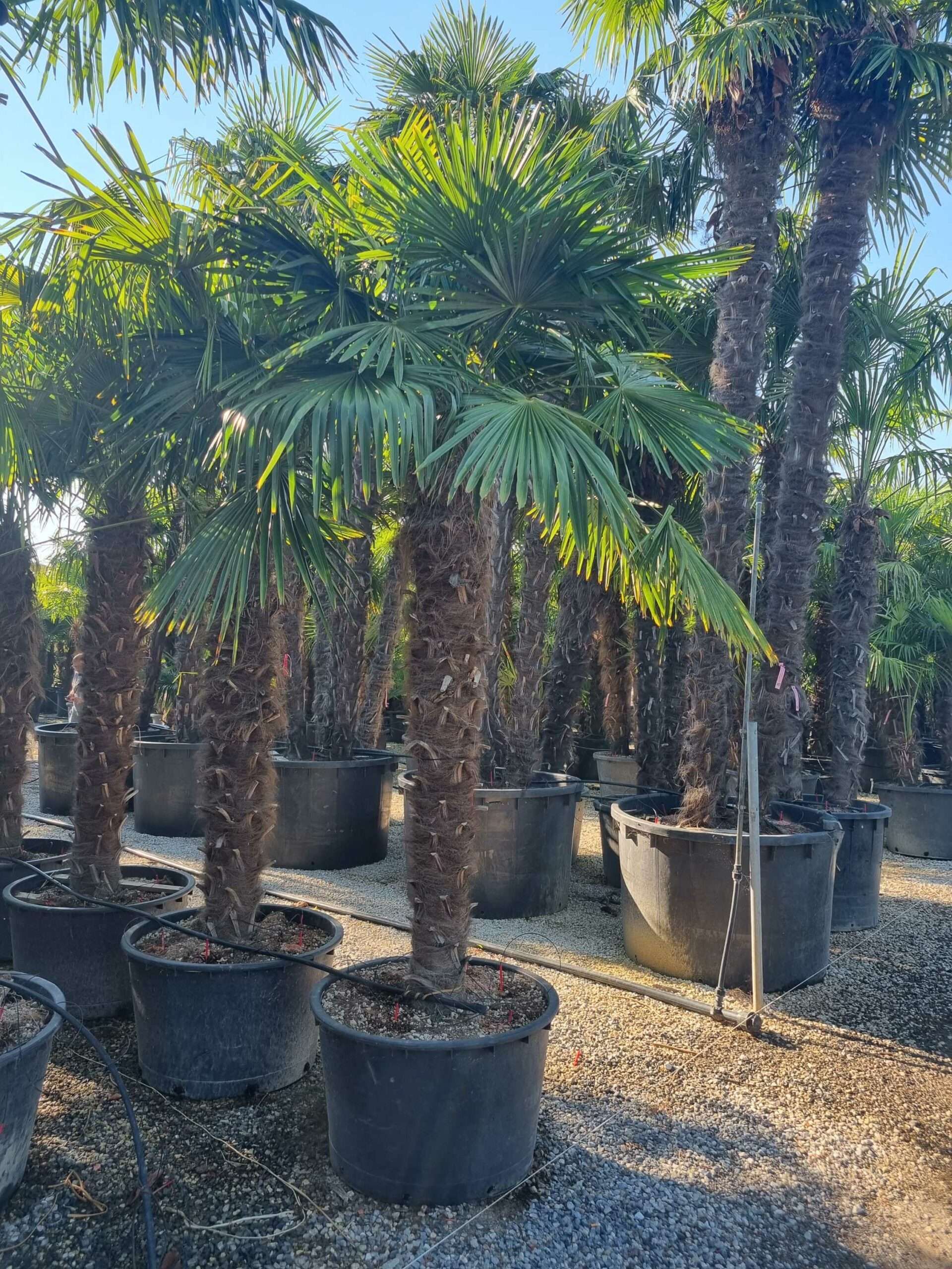 1692686935 scaled 48b1587a