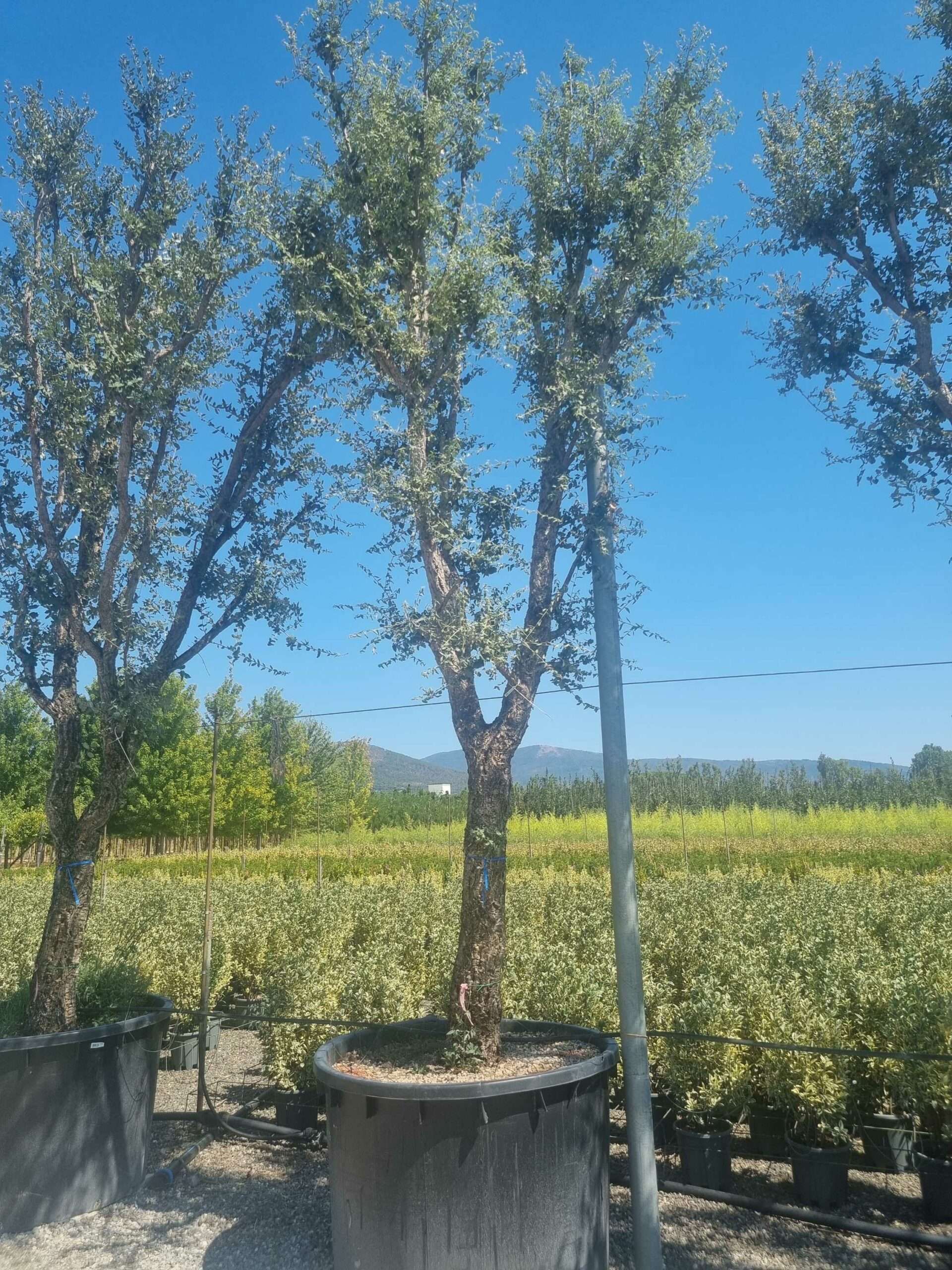 1692794247 scaled 48c574d8