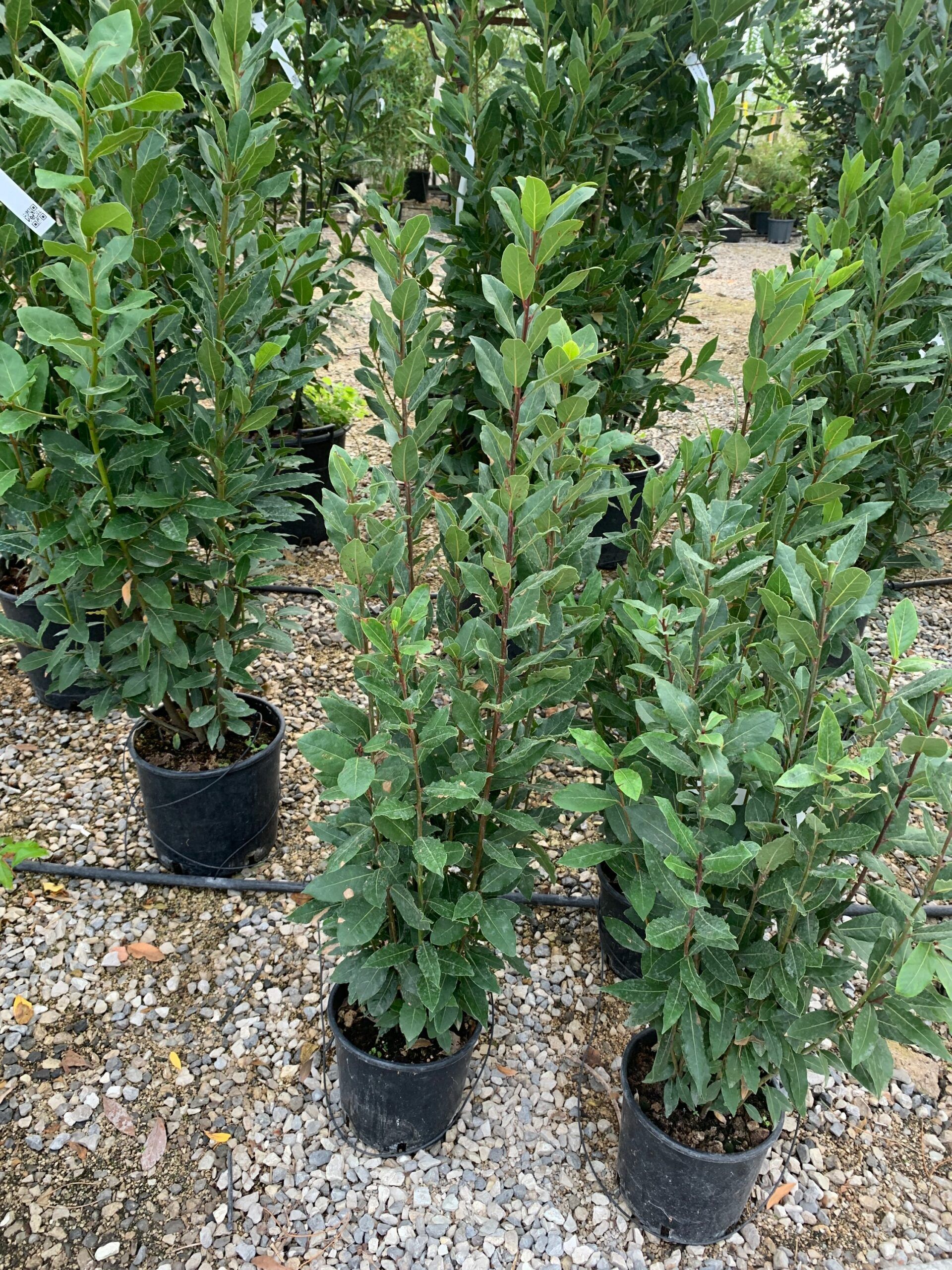 1635149106 scaled 49362461