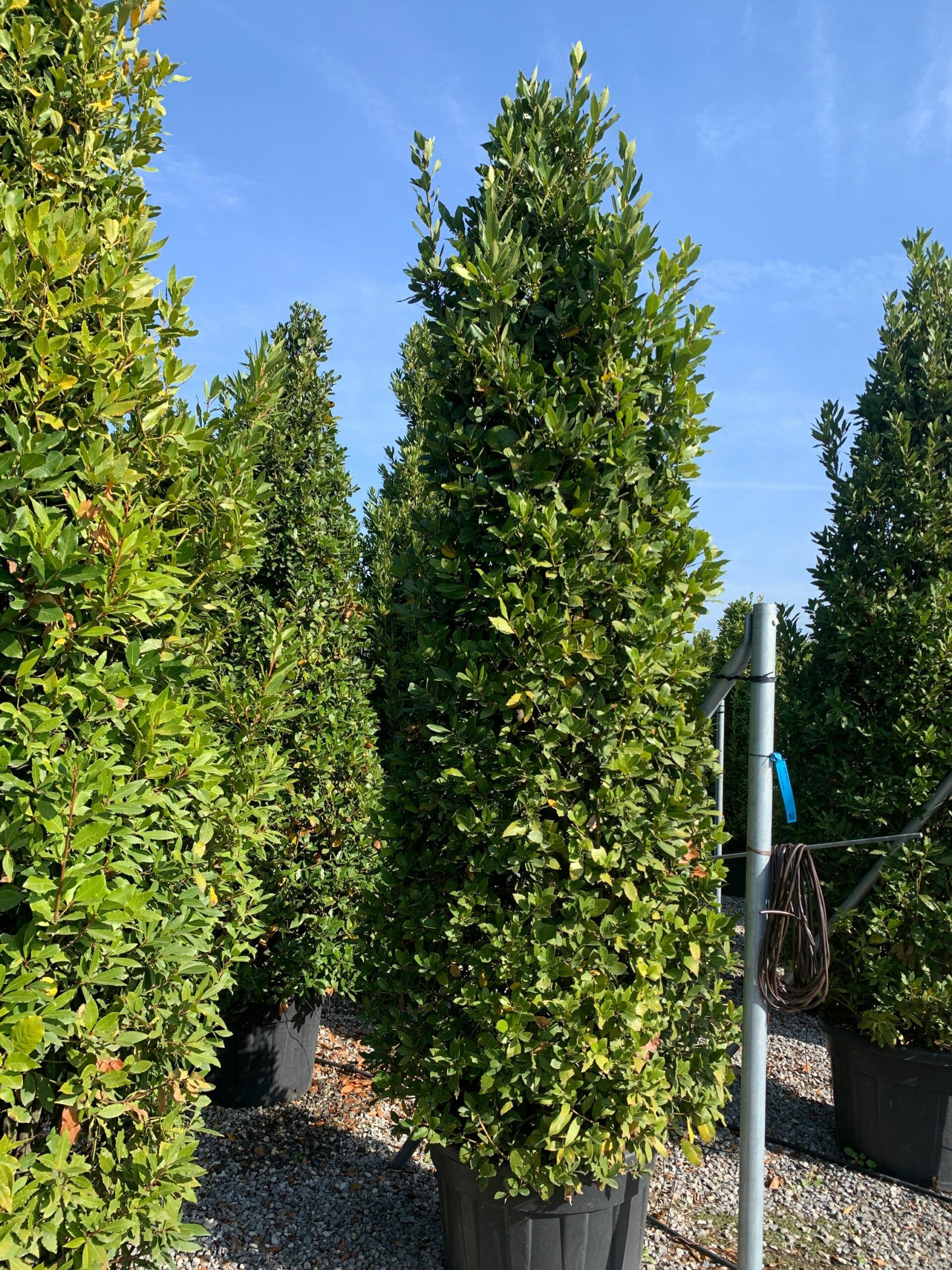 1635502967 scaled 492d4d72