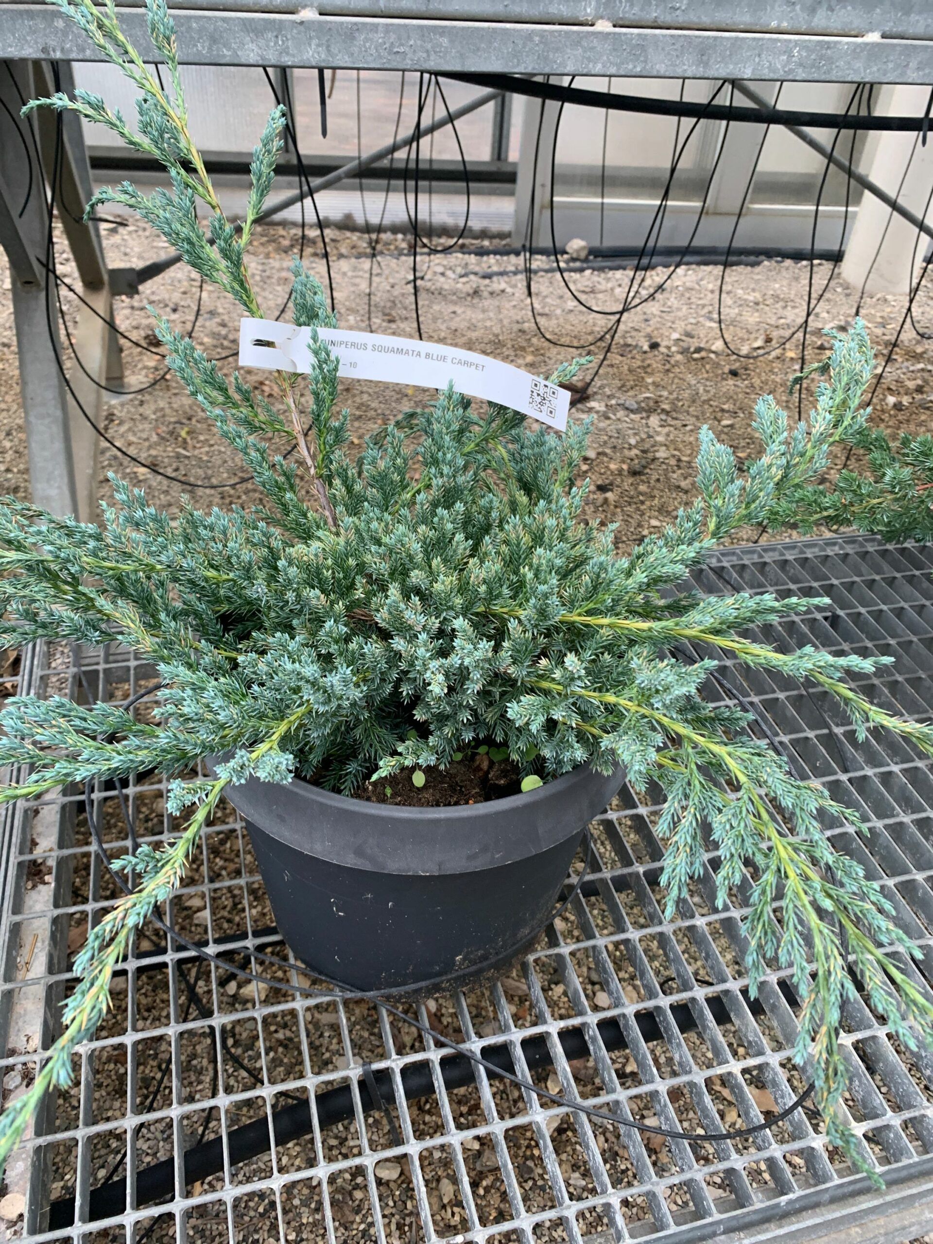 1637829033 scaled 49eba83f