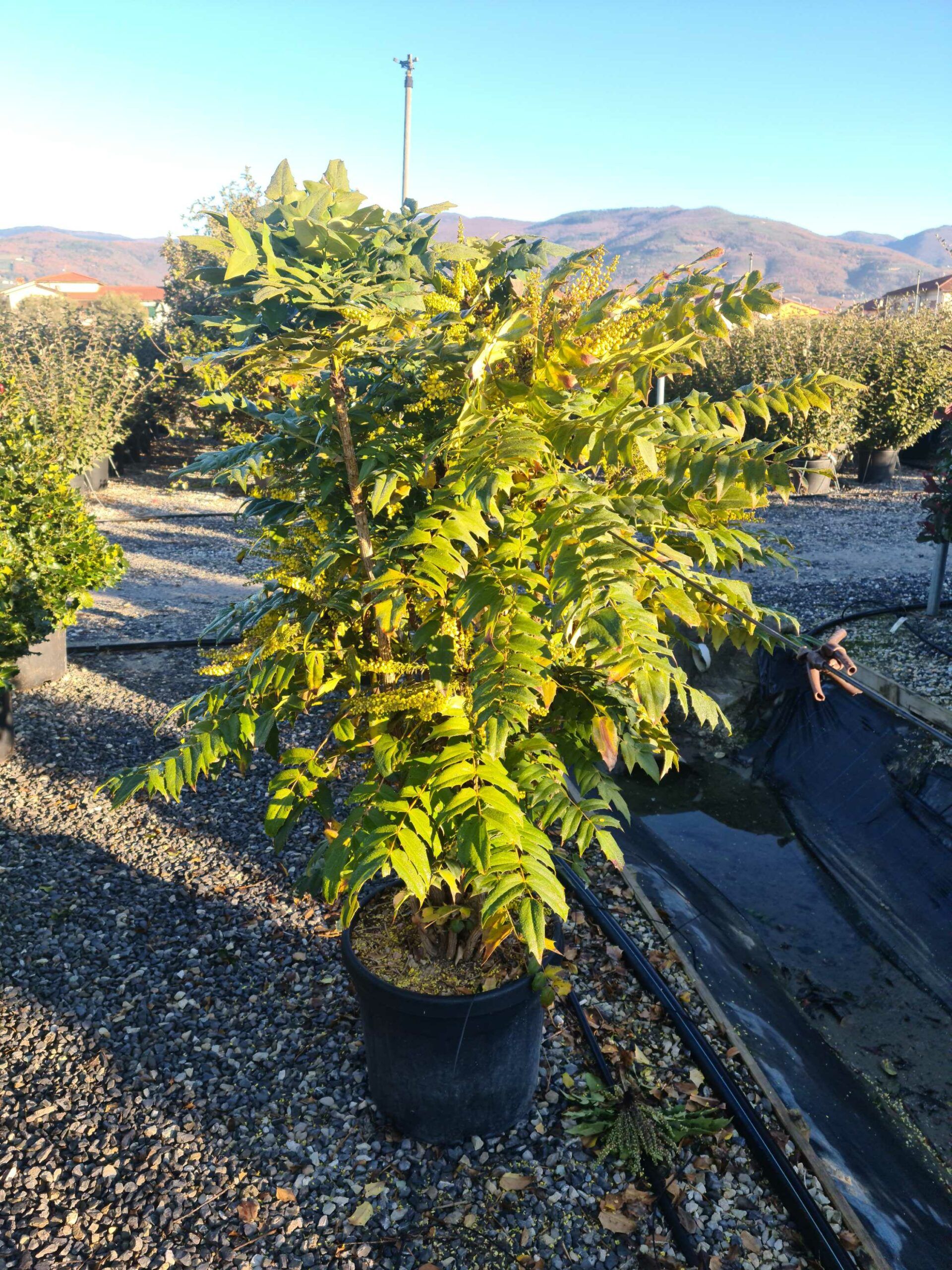 1639729248 scaled 49b8f119