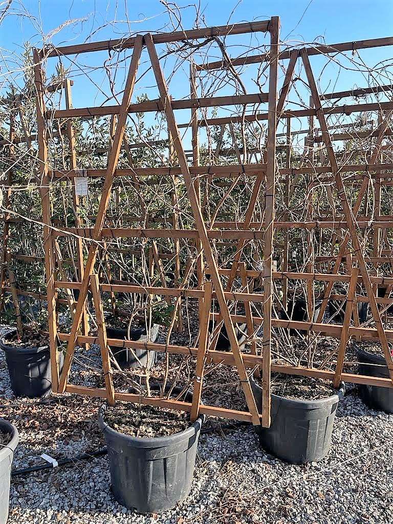 1647172757 uktuilt 1 49f61d8d