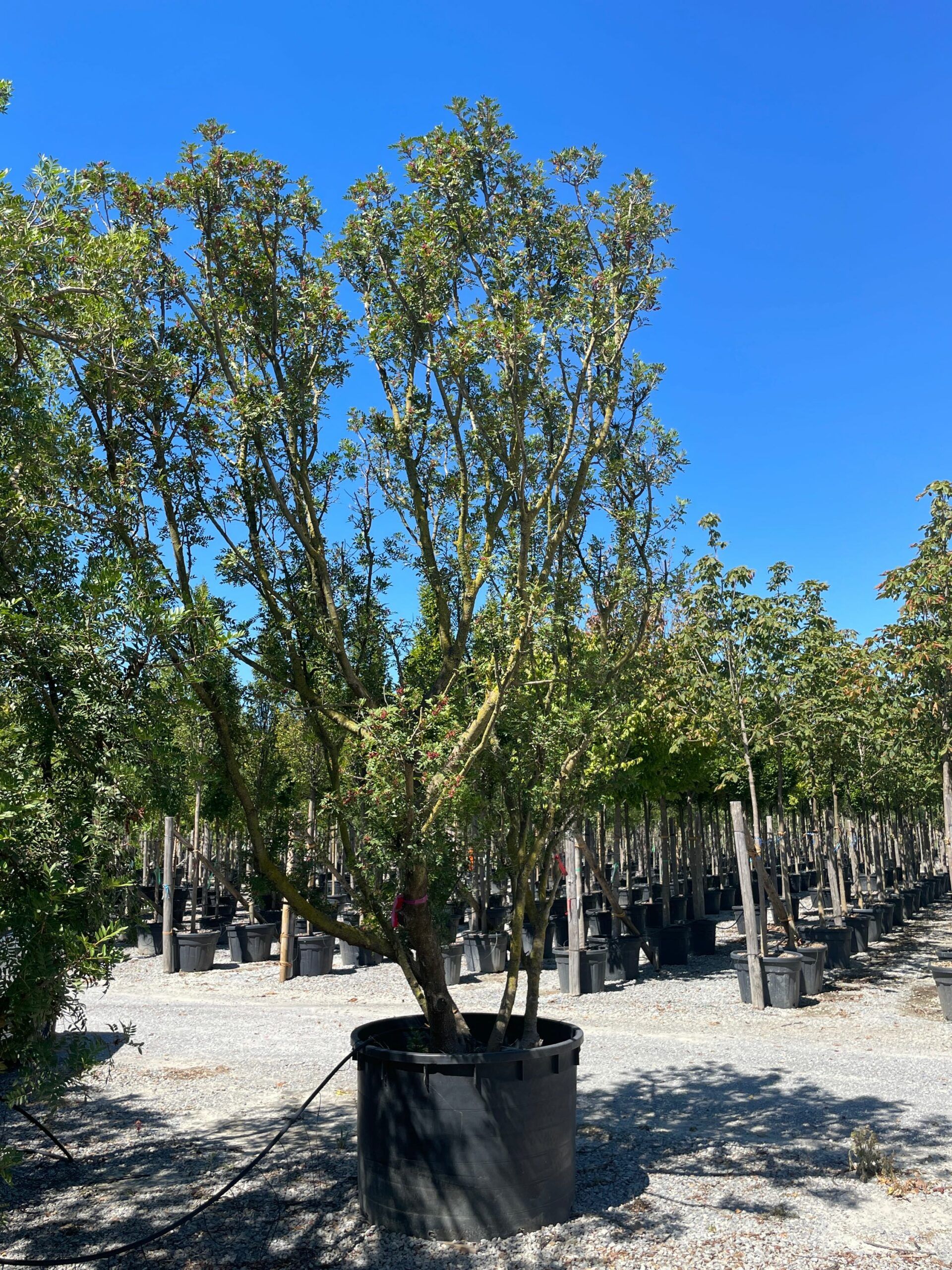 1661258534 scaled 49510b1a