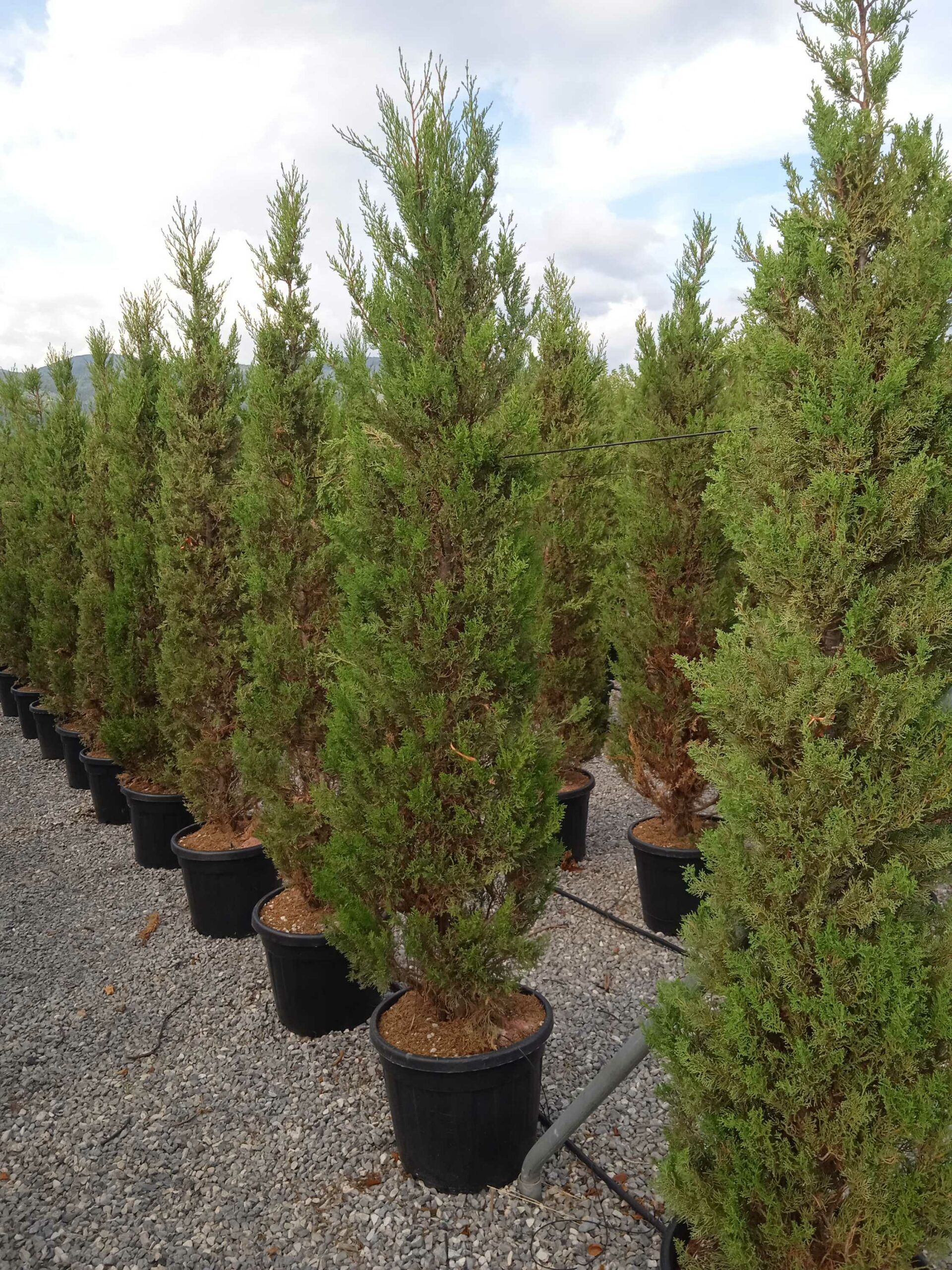 1661959184 scaled 49139188