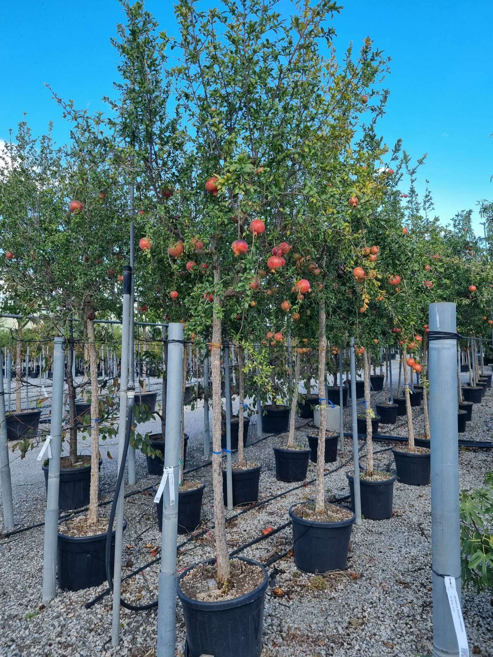 1663769419 scaled 496164d2