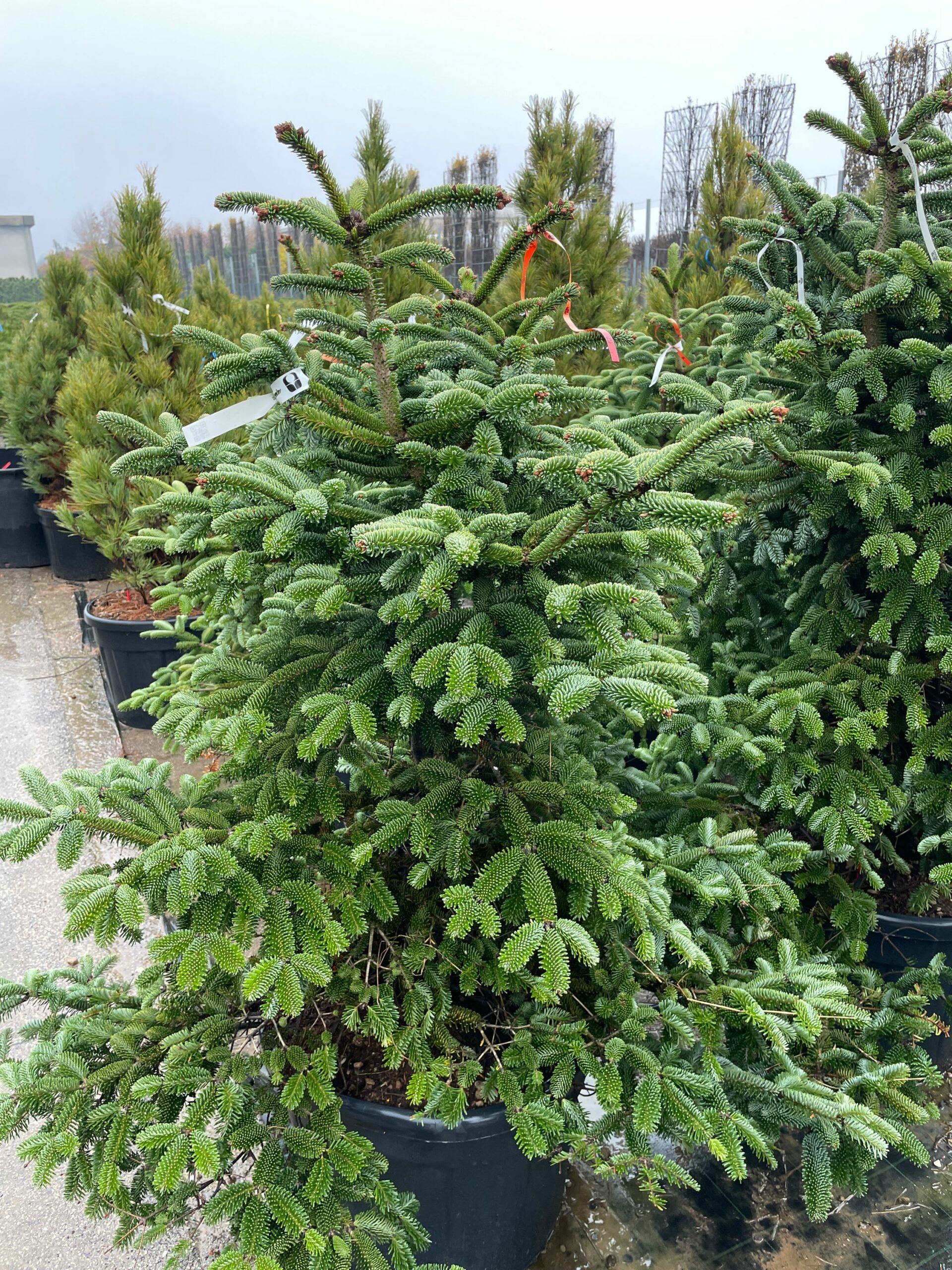 1670584491 scaled 49d2e48d