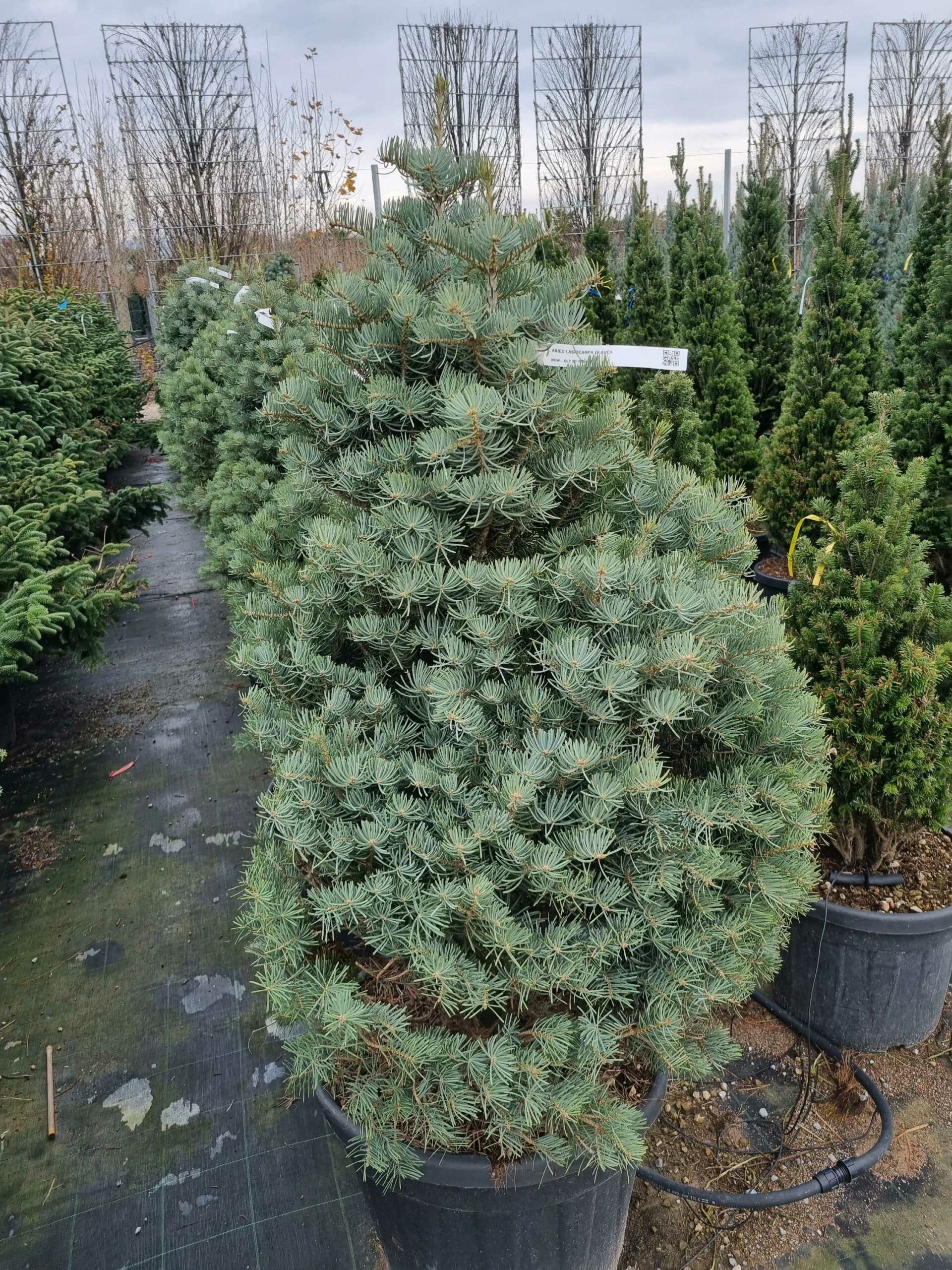 1671455800 scaled 4952dc36