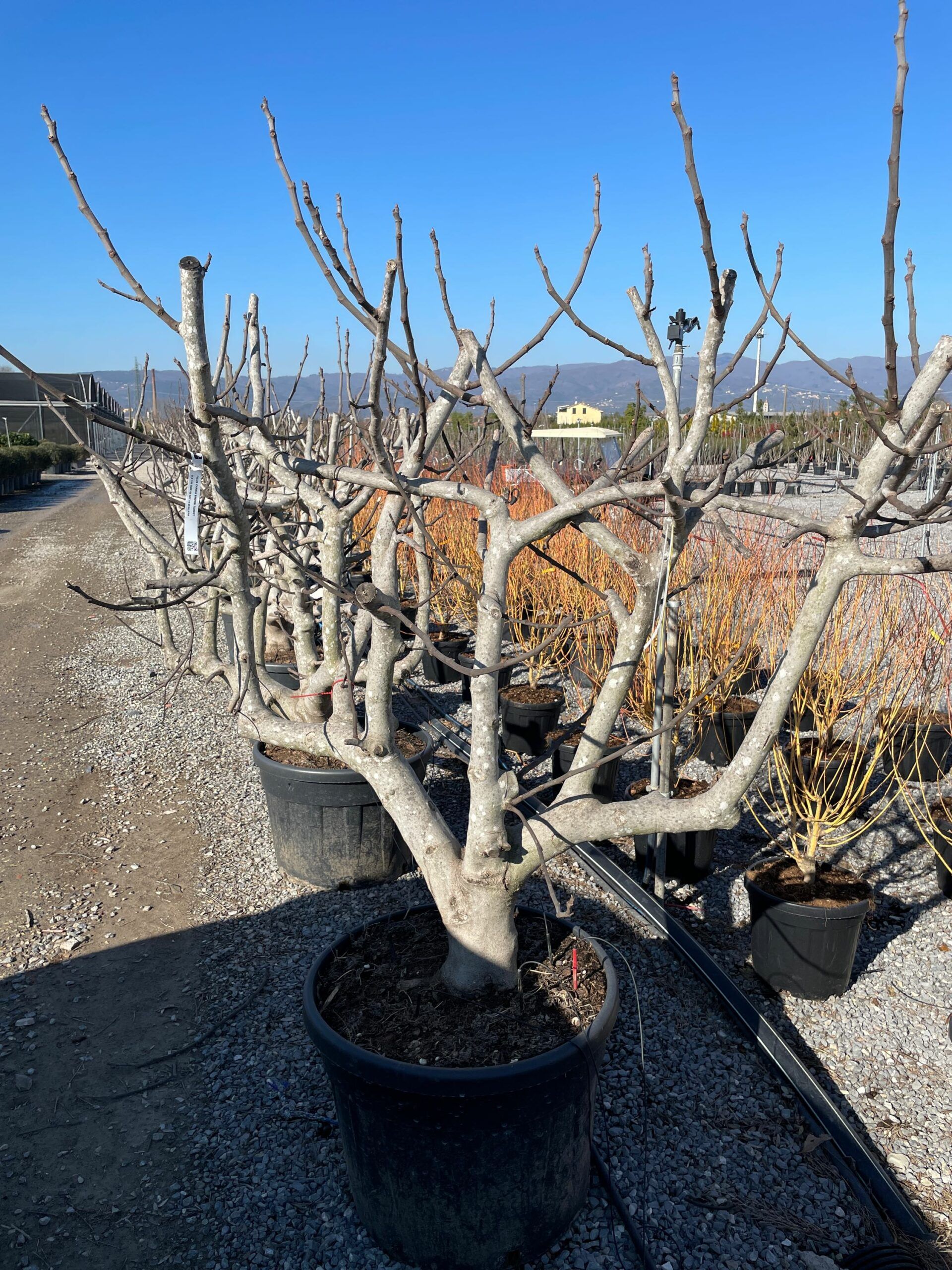 1676281772 scaled 4953c3eb