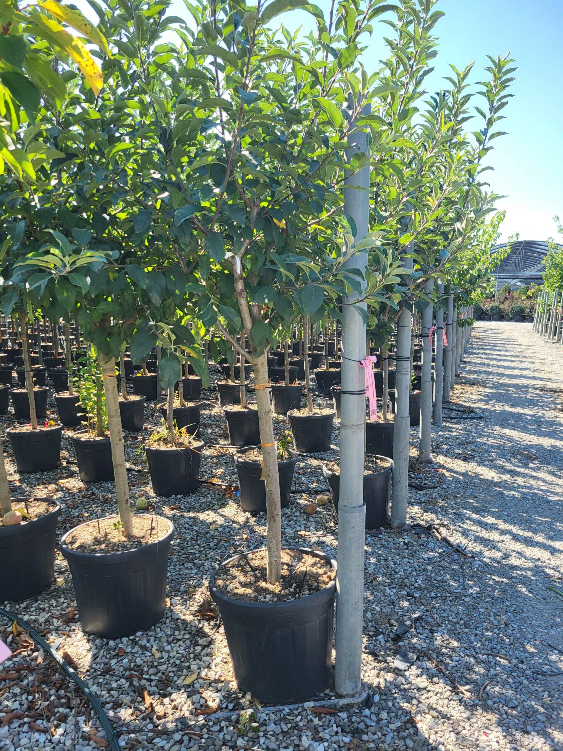 1692694215 scaled 4967a587