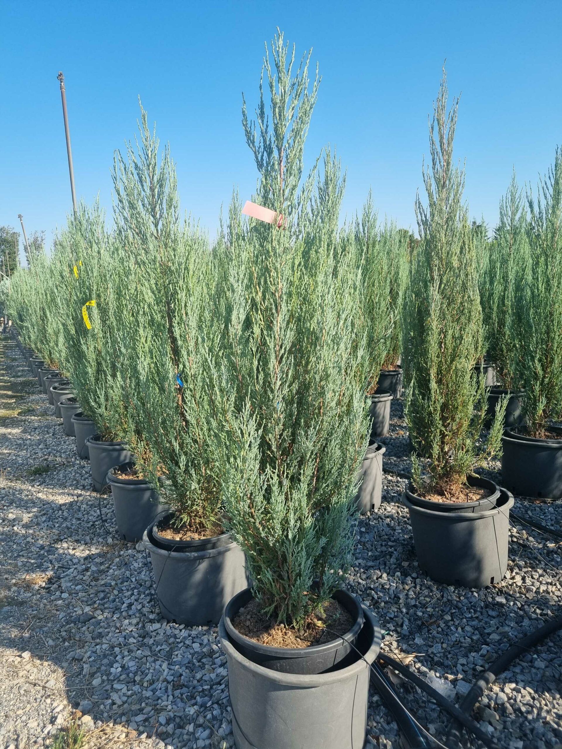 1694443505 scaled 4962a0a2