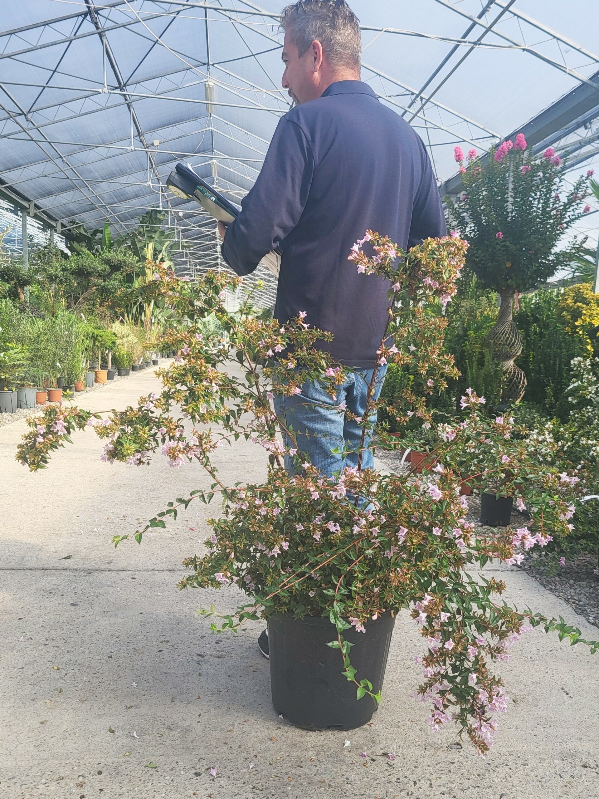 1696323715 scaled 49dc5d03