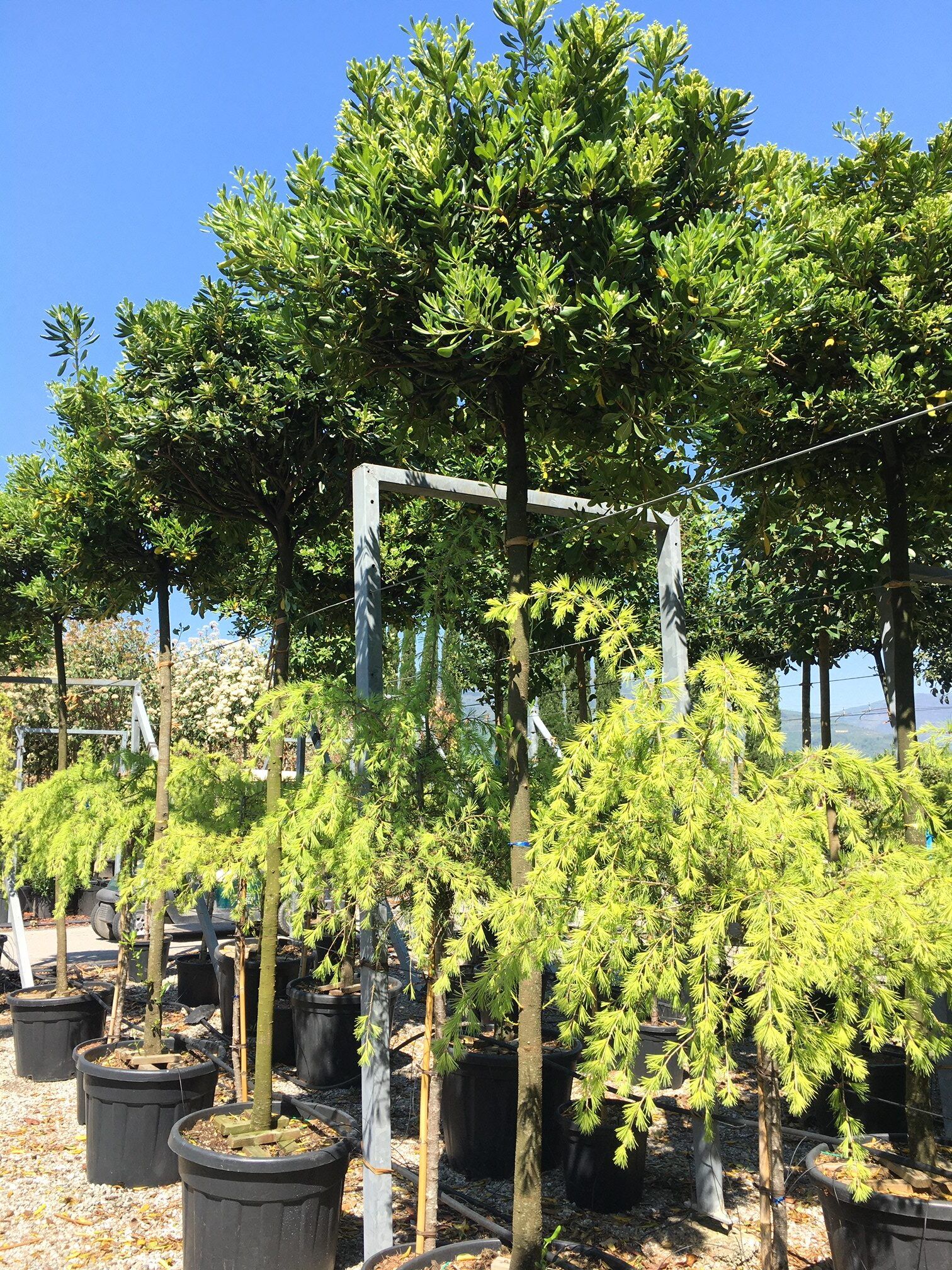 1608718267 rotated 4a1b4f87